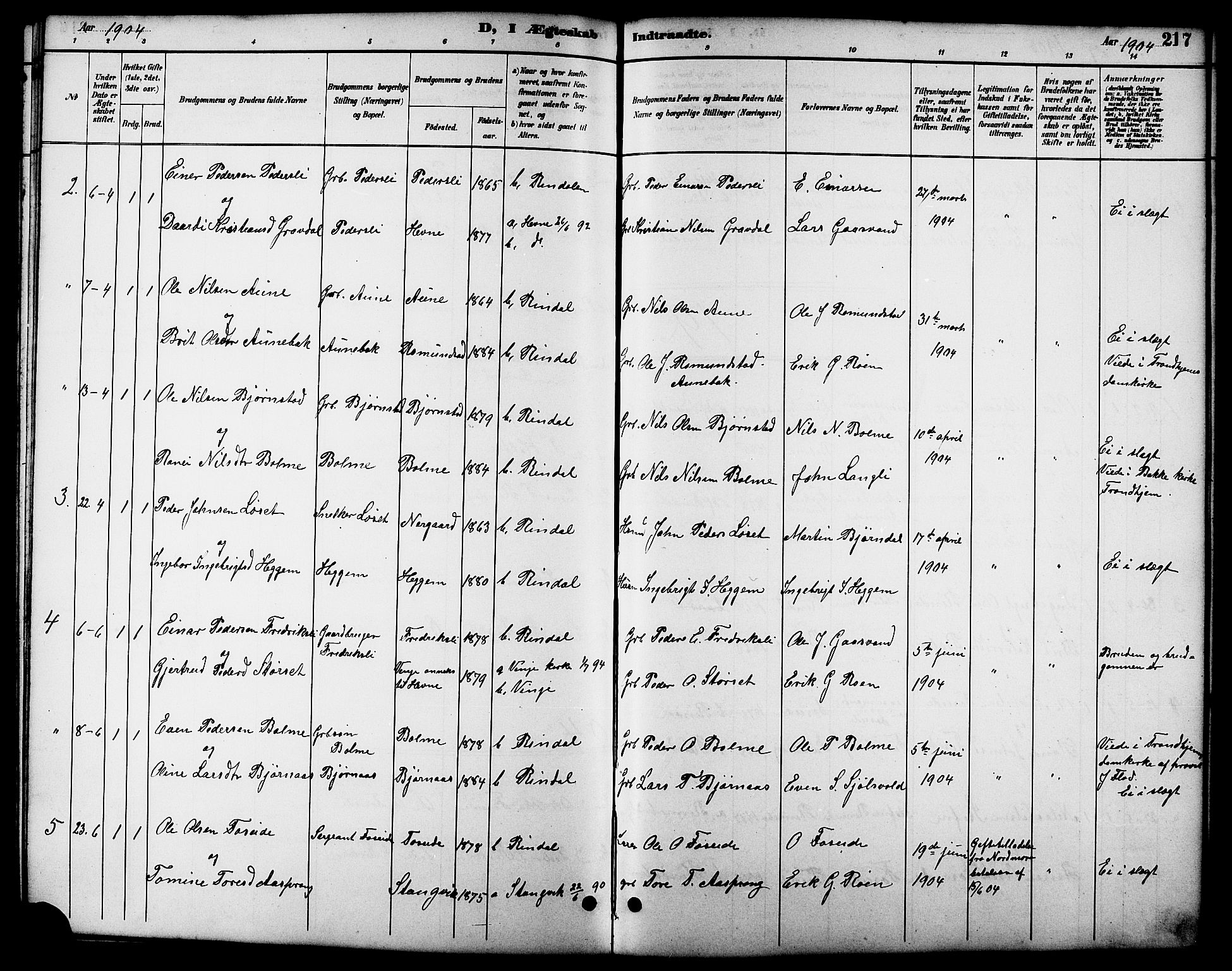 Ministerialprotokoller, klokkerbøker og fødselsregistre - Møre og Romsdal, AV/SAT-A-1454/598/L1078: Parish register (copy) no. 598C03, 1892-1909, p. 217