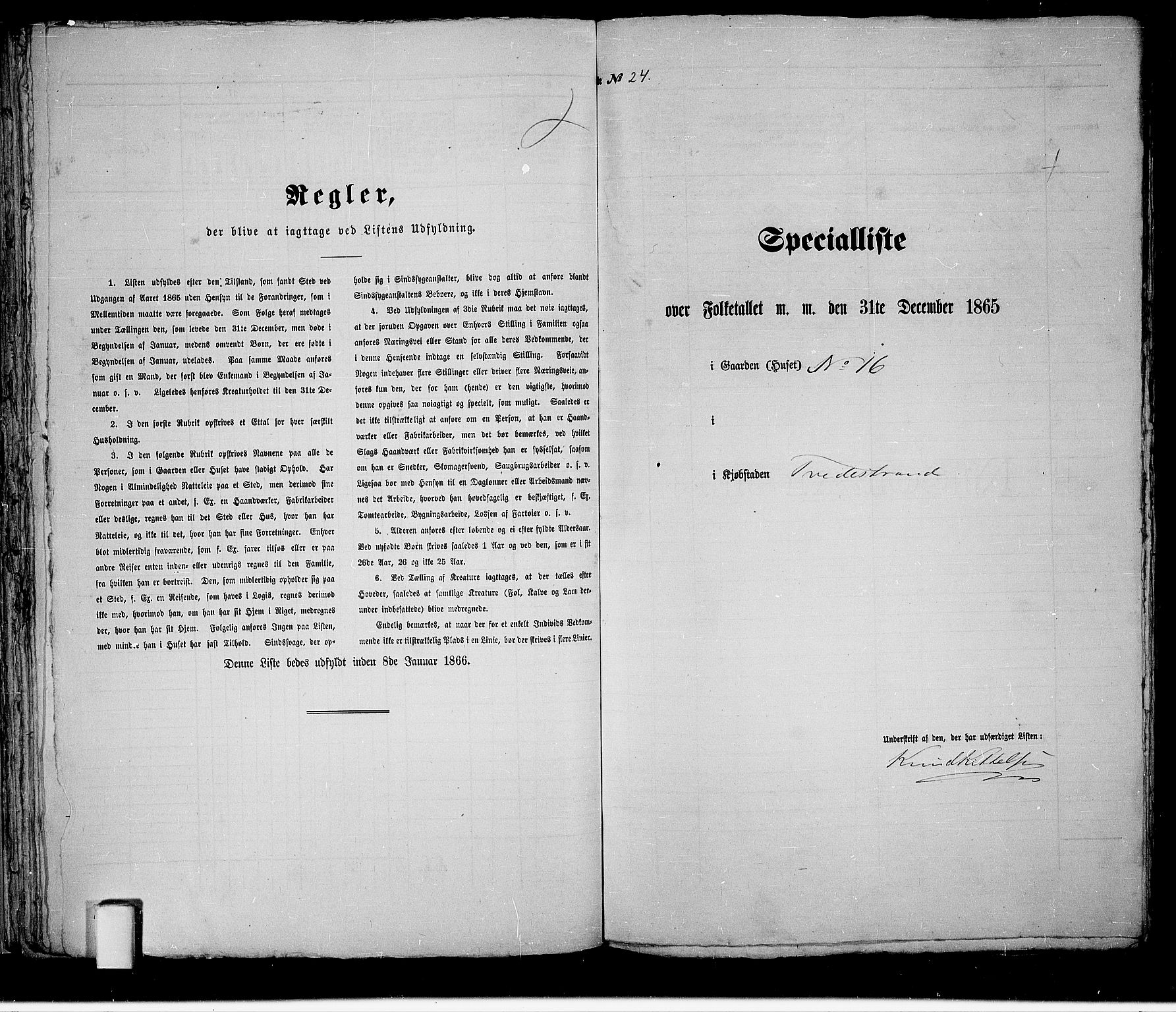 RA, 1865 census for Holt/Tvedestrand, 1865, p. 53