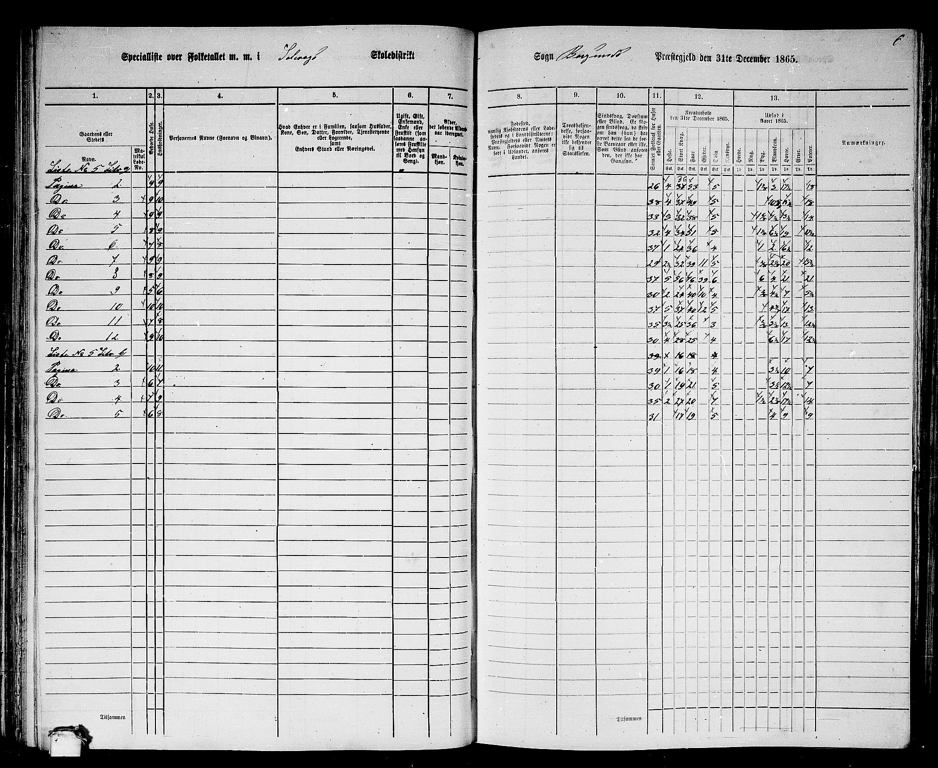 RA, 1865 census for Borgund, 1865, p. 101