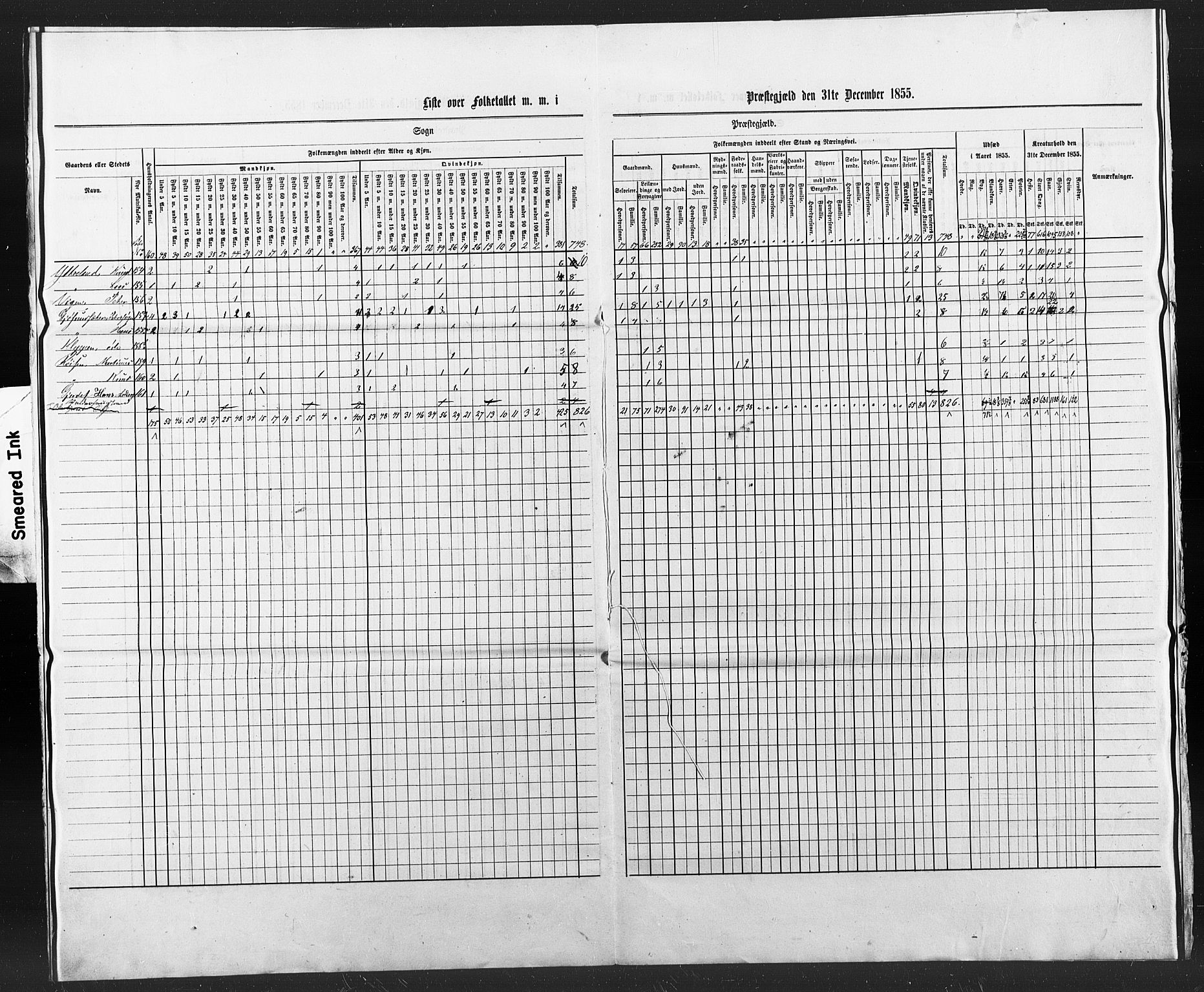 SAT, Census 1855 for Borgund, 1855, p. 49