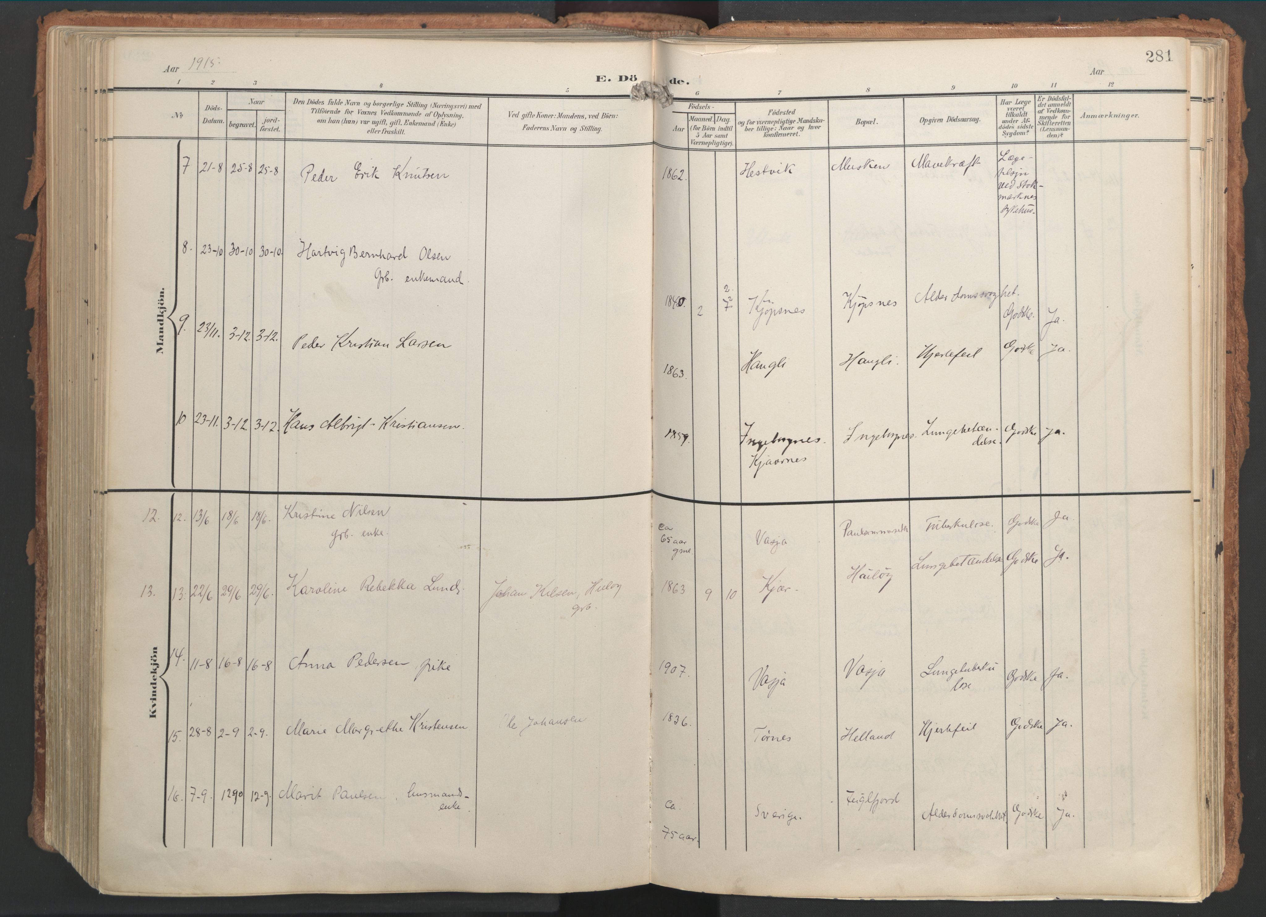 Ministerialprotokoller, klokkerbøker og fødselsregistre - Nordland, AV/SAT-A-1459/861/L0871: Parish register (official) no. 861A06, 1903-1916, p. 281