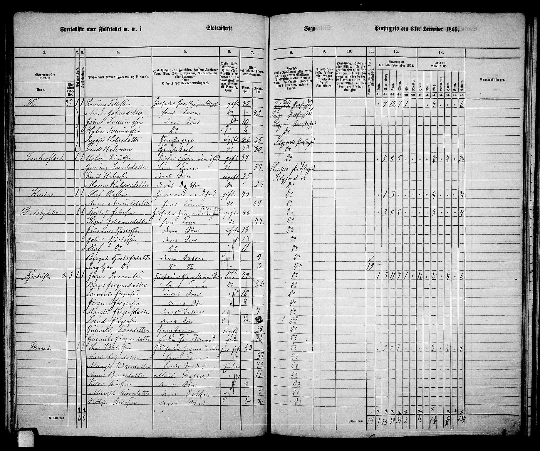 RA, 1865 census for Seljord, 1865, p. 78