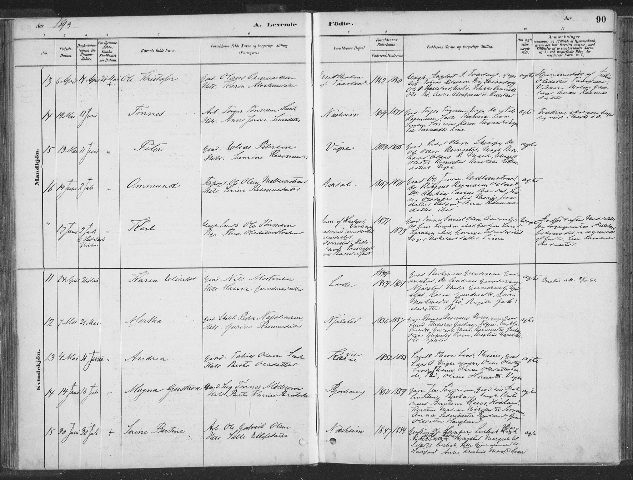 Hå sokneprestkontor, SAST/A-101801/001/30BA/L0010: Parish register (official) no. A 9, 1879-1896, p. 90