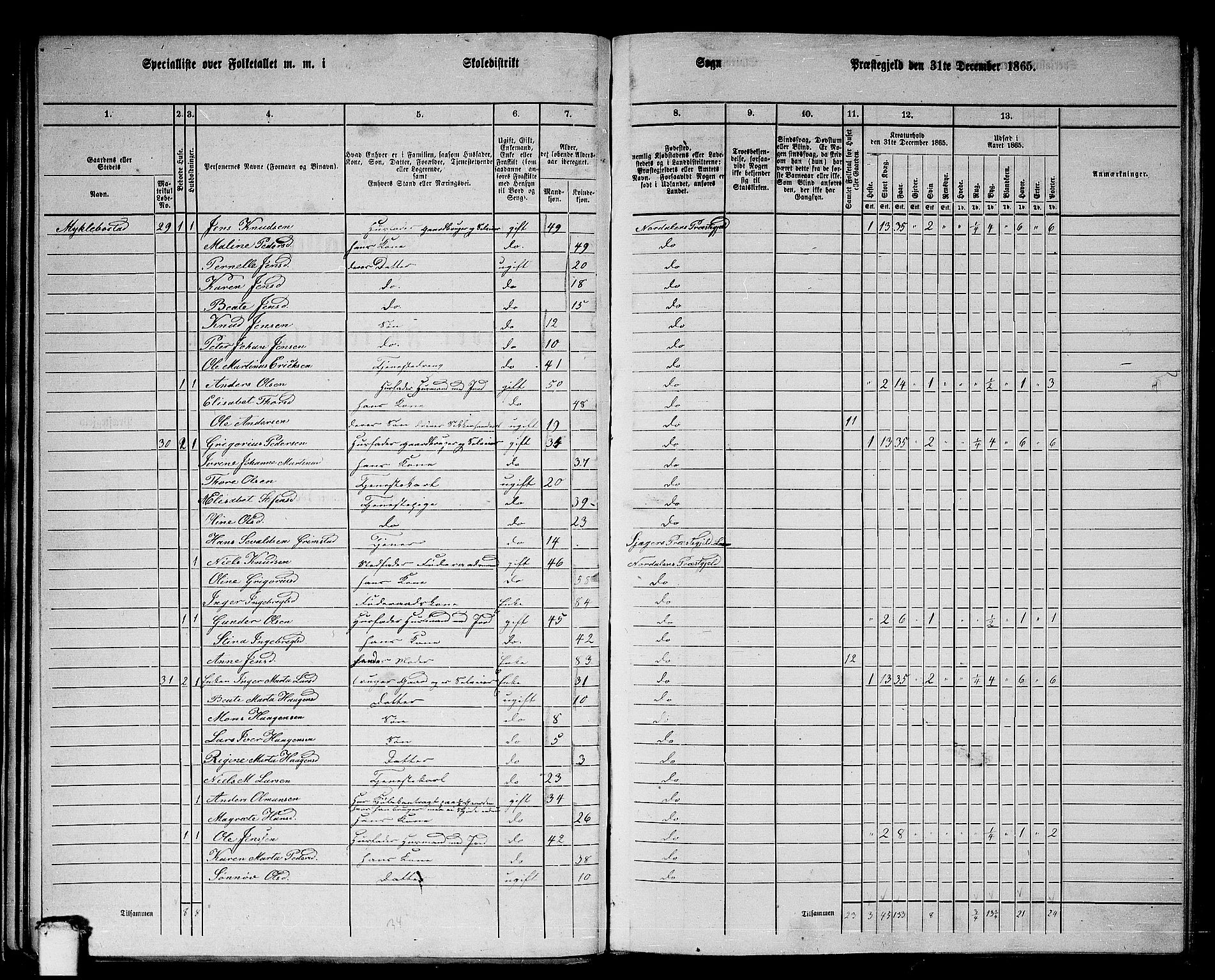 RA, 1865 census for Norddal, 1865, p. 30