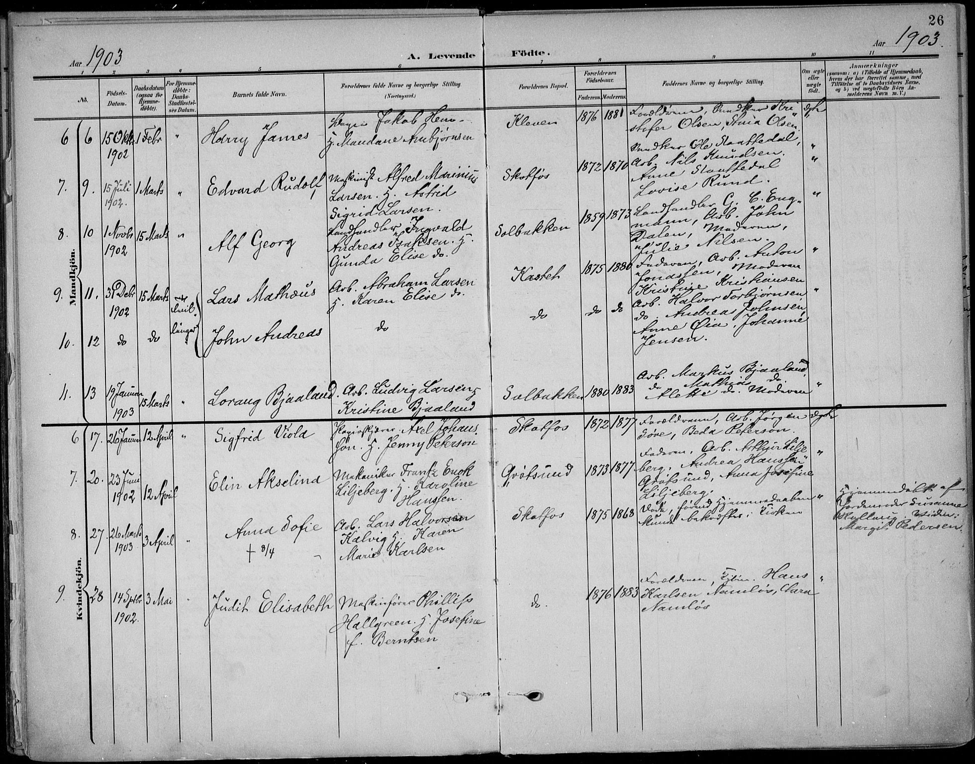 Solum kirkebøker, AV/SAKO-A-306/F/Fb/L0003: Parish register (official) no. II 3, 1901-1912, p. 26