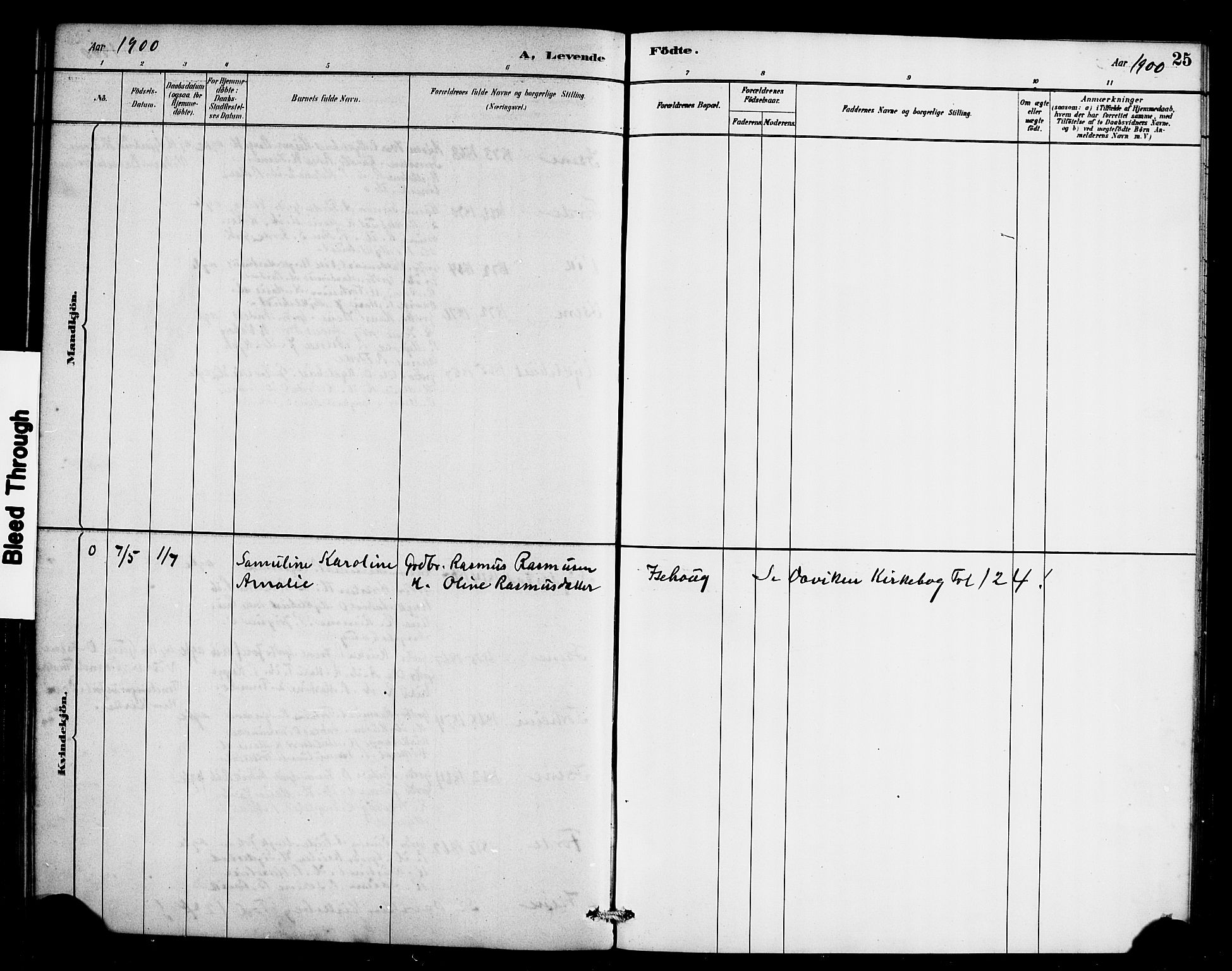 Davik sokneprestembete, AV/SAB-A-79701/H/Haa/Haae/L0001: Parish register (official) no. E 1, 1882-1900, p. 25