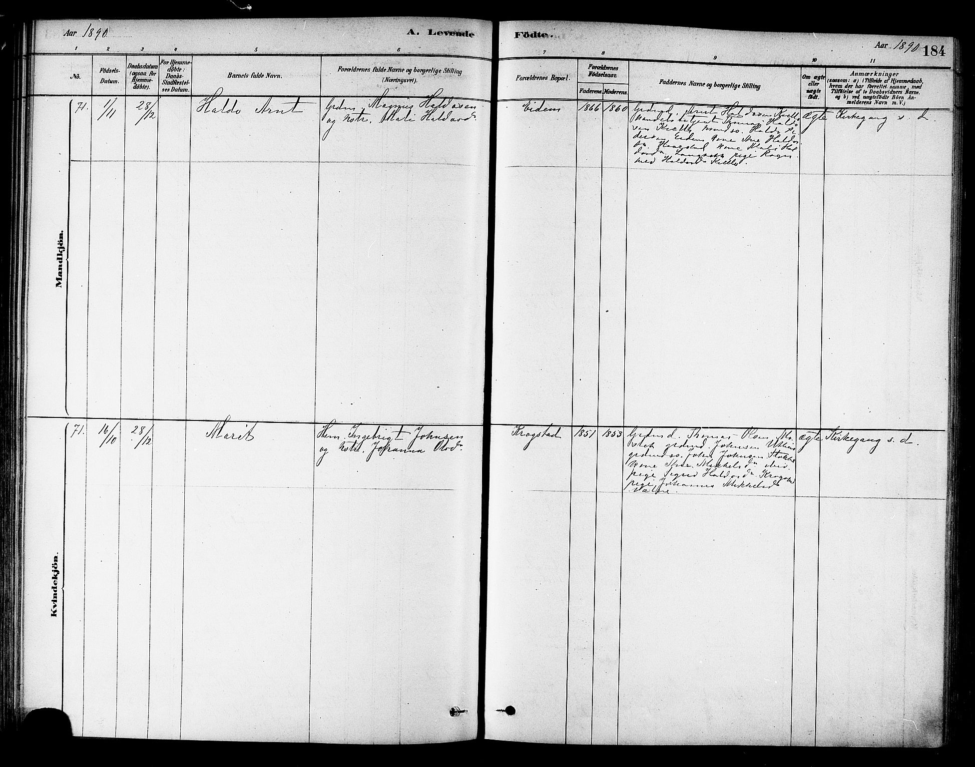 Ministerialprotokoller, klokkerbøker og fødselsregistre - Sør-Trøndelag, SAT/A-1456/695/L1148: Parish register (official) no. 695A08, 1878-1891, p. 184