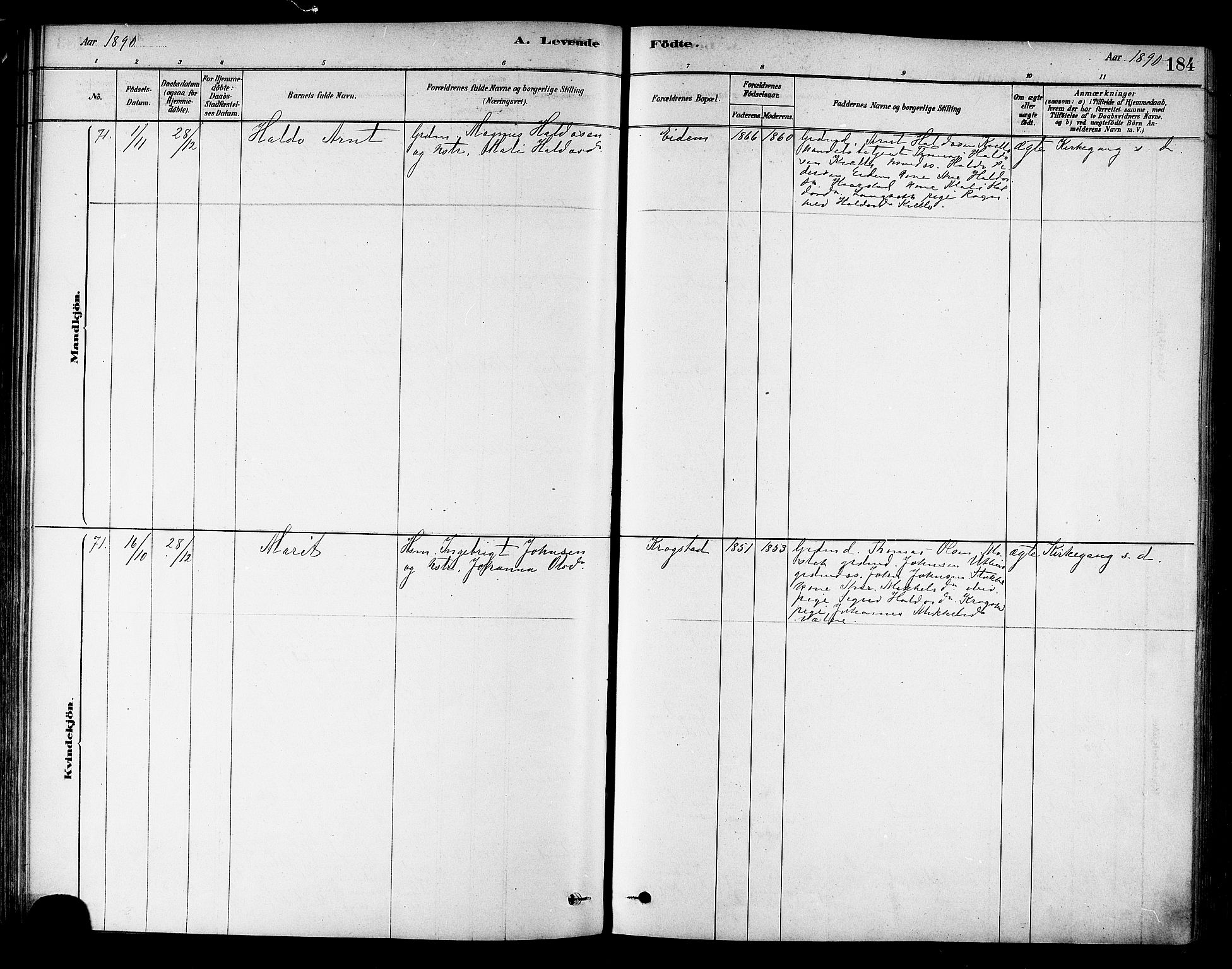 Ministerialprotokoller, klokkerbøker og fødselsregistre - Sør-Trøndelag, AV/SAT-A-1456/695/L1148: Parish register (official) no. 695A08, 1878-1891, p. 184