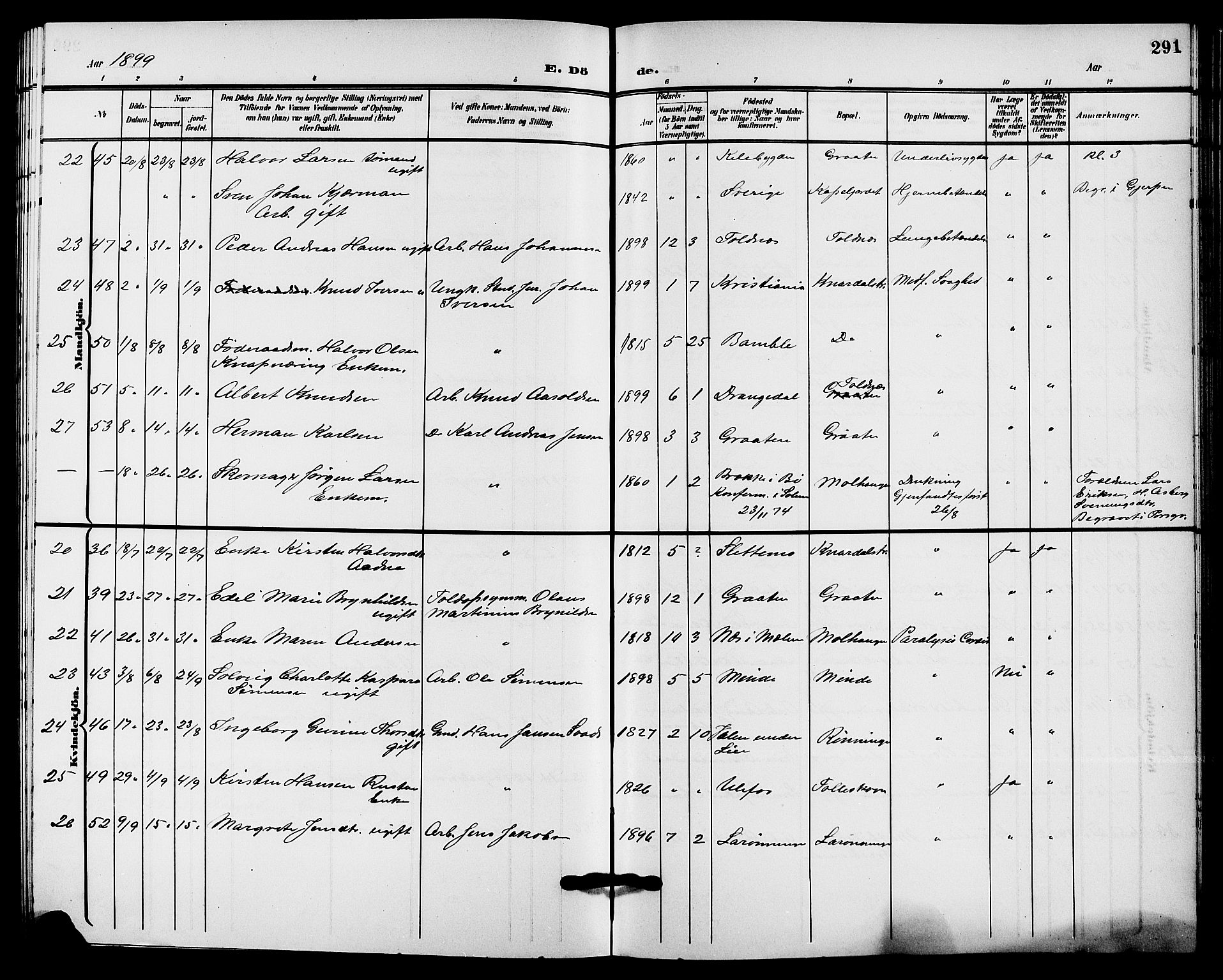 Solum kirkebøker, AV/SAKO-A-306/G/Ga/L0008: Parish register (copy) no. I 8, 1898-1909, p. 291