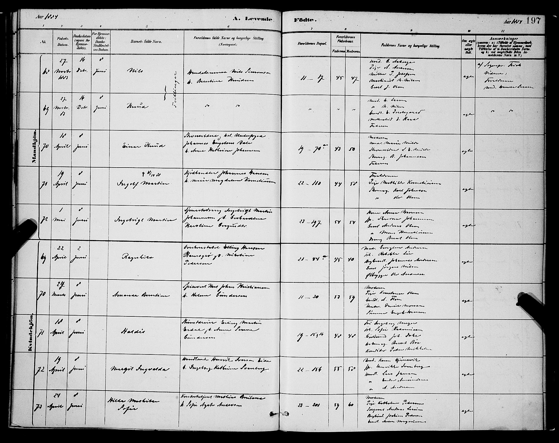 Korskirken sokneprestembete, SAB/A-76101/H/Hab: Parish register (copy) no. B 8, 1878-1887, p. 197