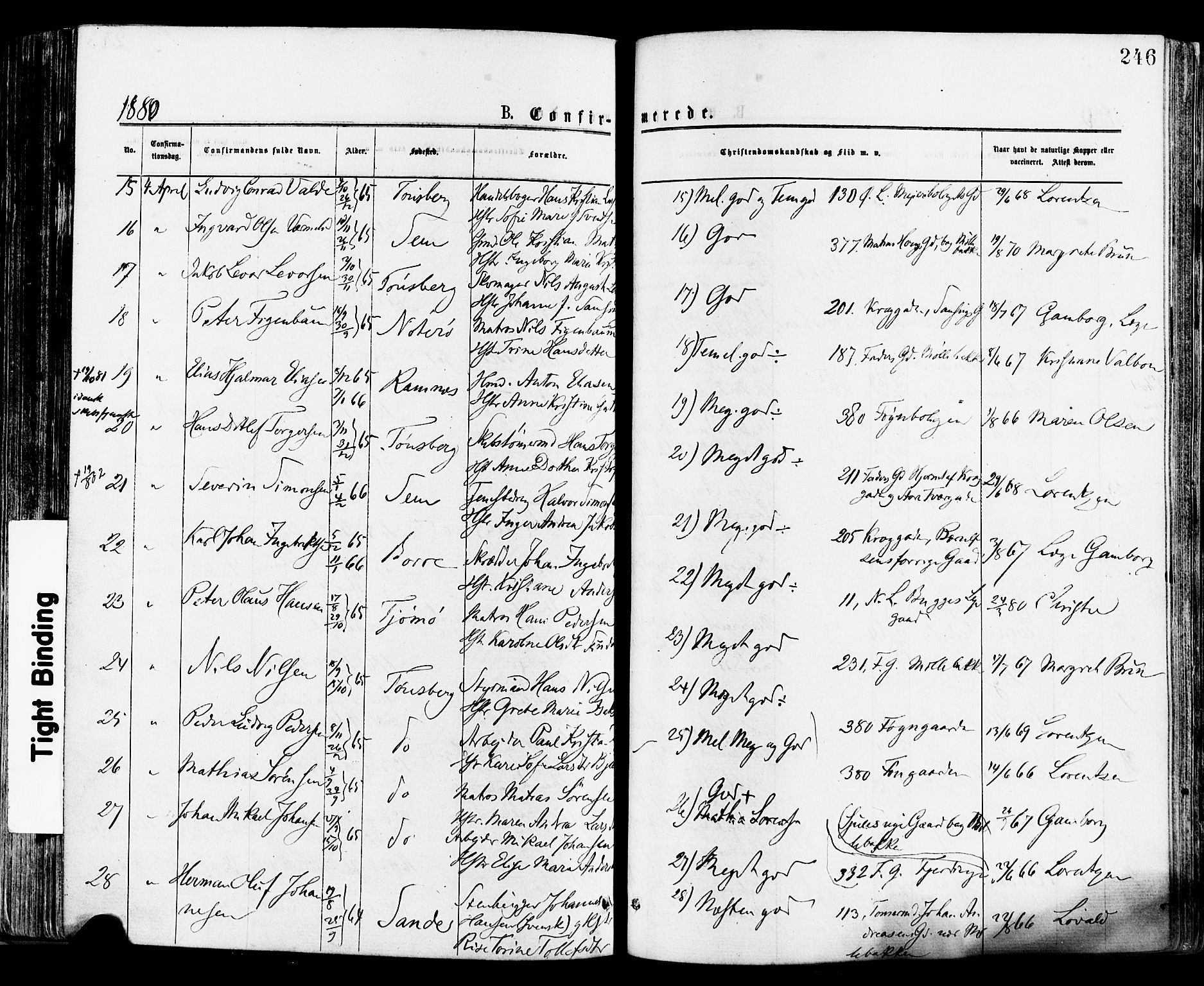 Tønsberg kirkebøker, AV/SAKO-A-330/F/Fa/L0010: Parish register (official) no. I 10, 1874-1880, p. 246