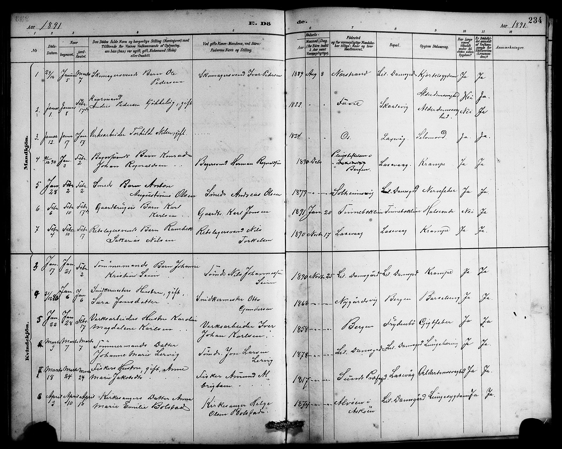 Laksevåg Sokneprestembete, SAB/A-76501/H/Ha/Hab/Haba/L0003: Parish register (copy) no. A 3, 1887-1899, p. 234