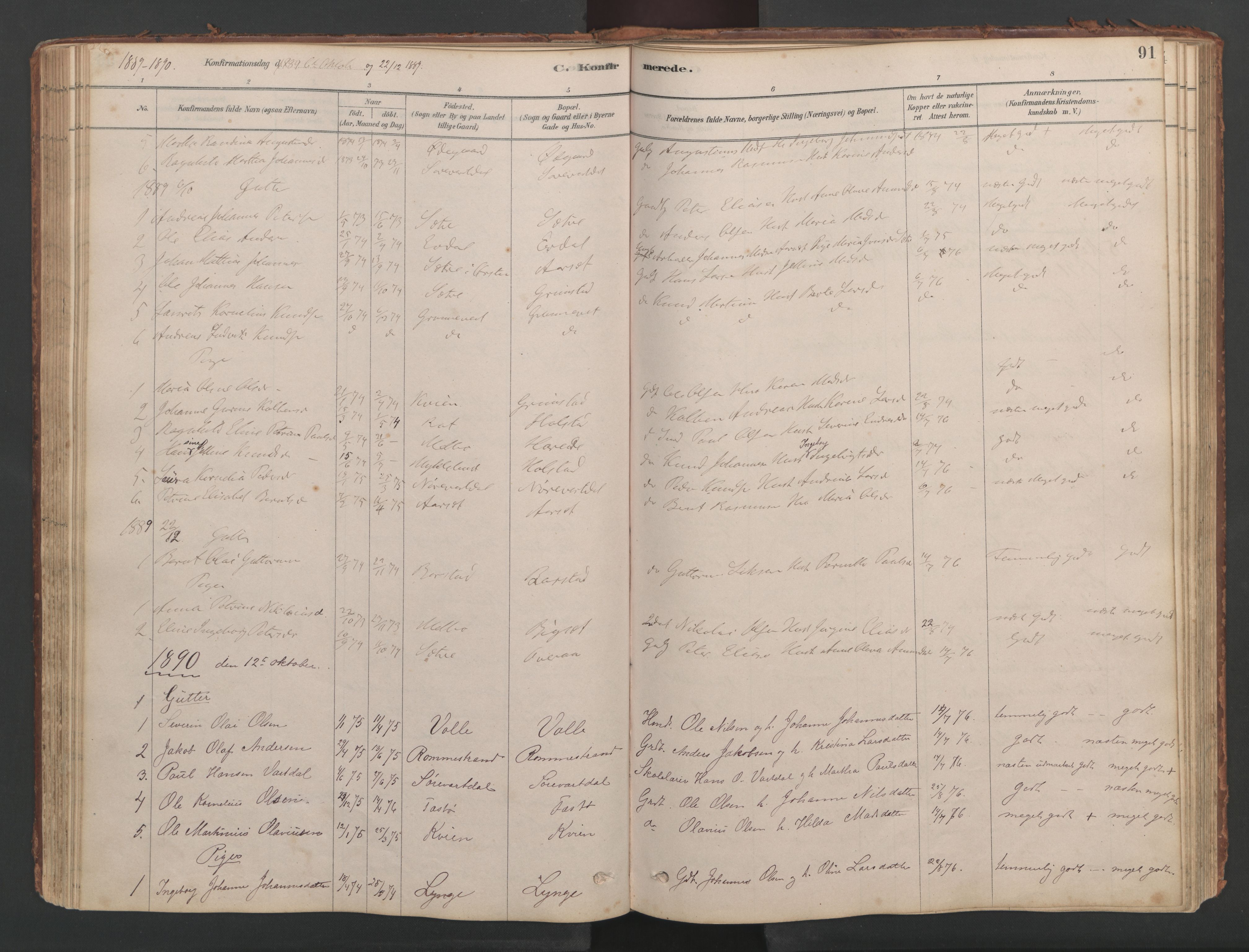 Ministerialprotokoller, klokkerbøker og fødselsregistre - Møre og Romsdal, AV/SAT-A-1454/514/L0201: Parish register (copy) no. 514C01, 1878-1919, p. 91