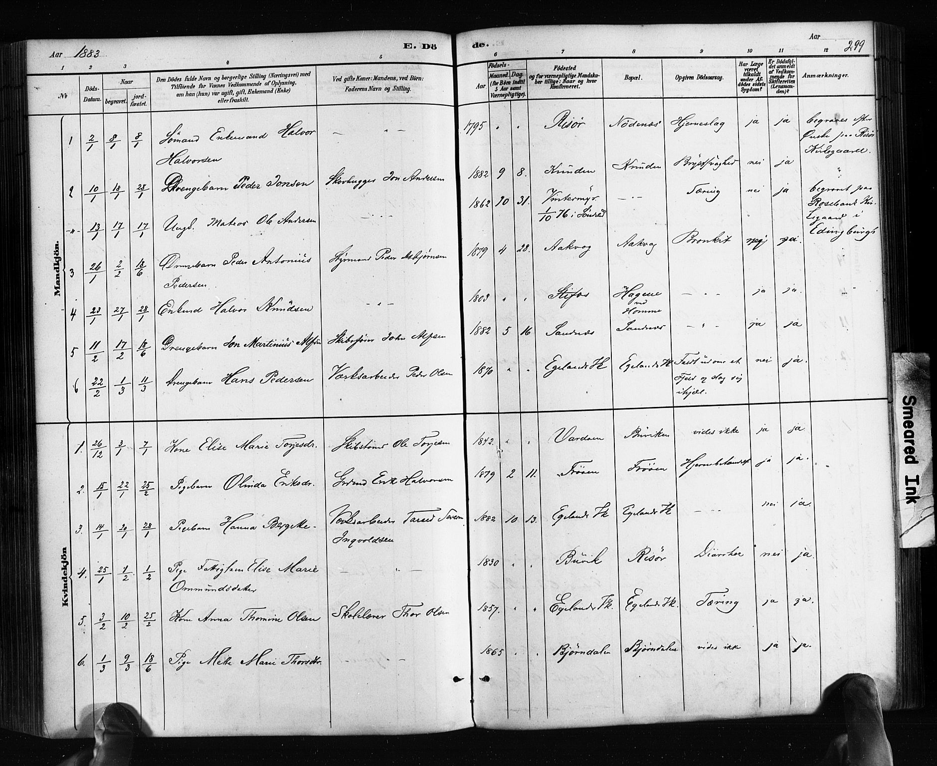 Søndeled sokneprestkontor, SAK/1111-0038/F/Fa/L0004: Parish register (official) no. A 4, 1880-1889, p. 299