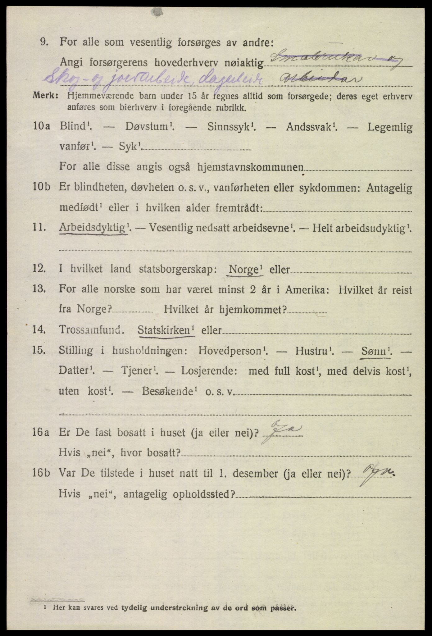 SAK, 1920 census for Hornnes, 1920, p. 1540