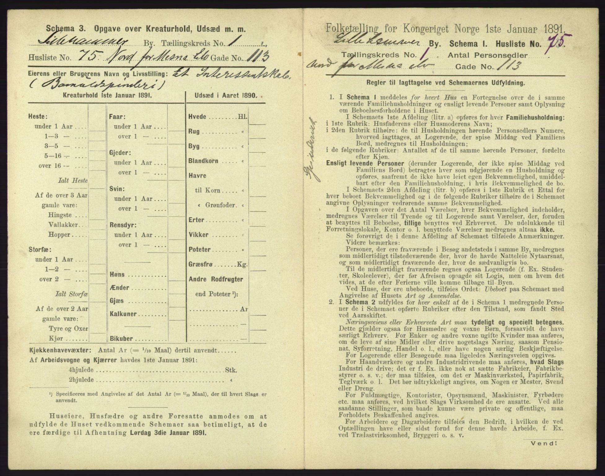 RA, 1891 census for 0501 Lillehammer, 1891, p. 203