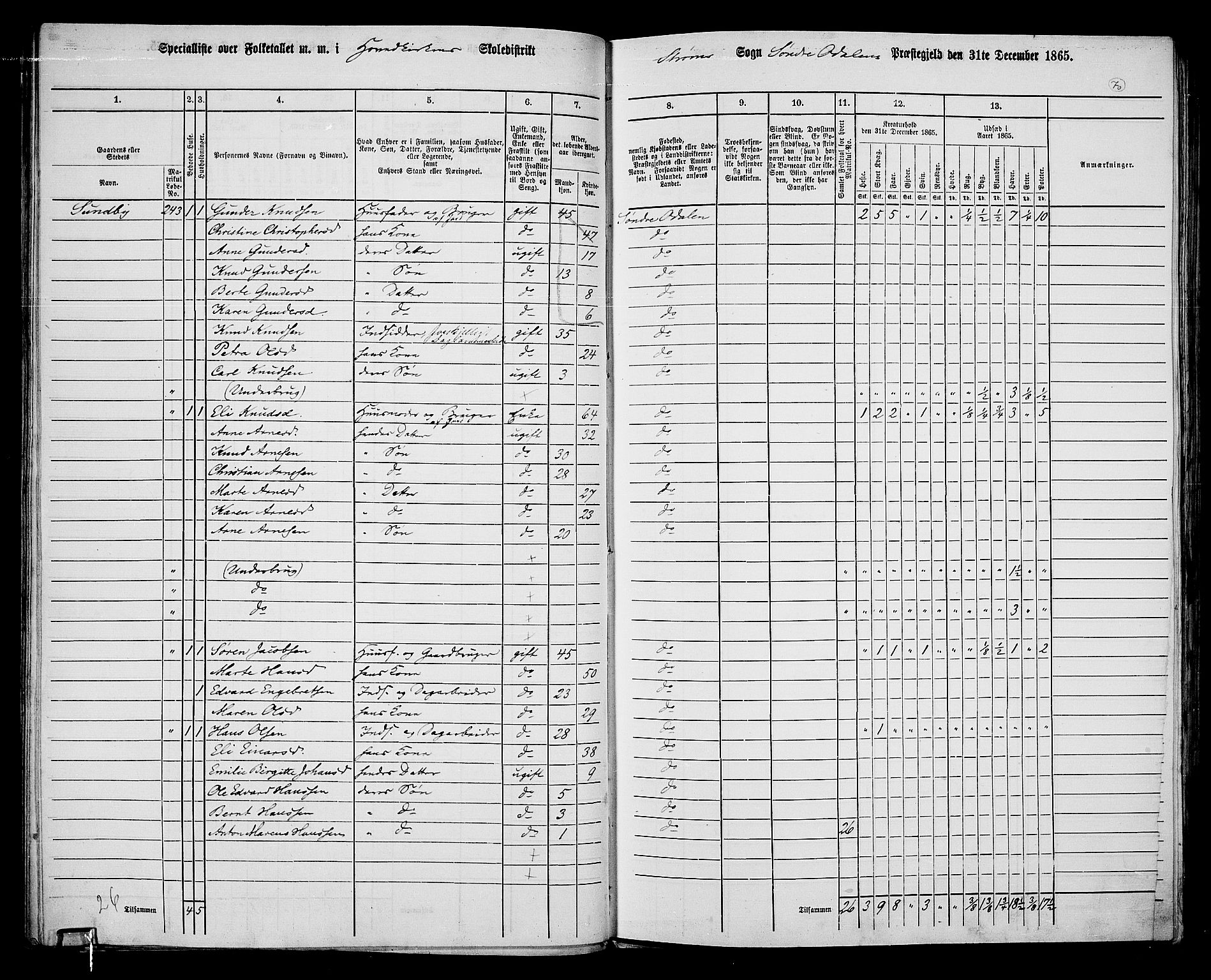 RA, 1865 census for Sør-Odal, 1865, p. 60