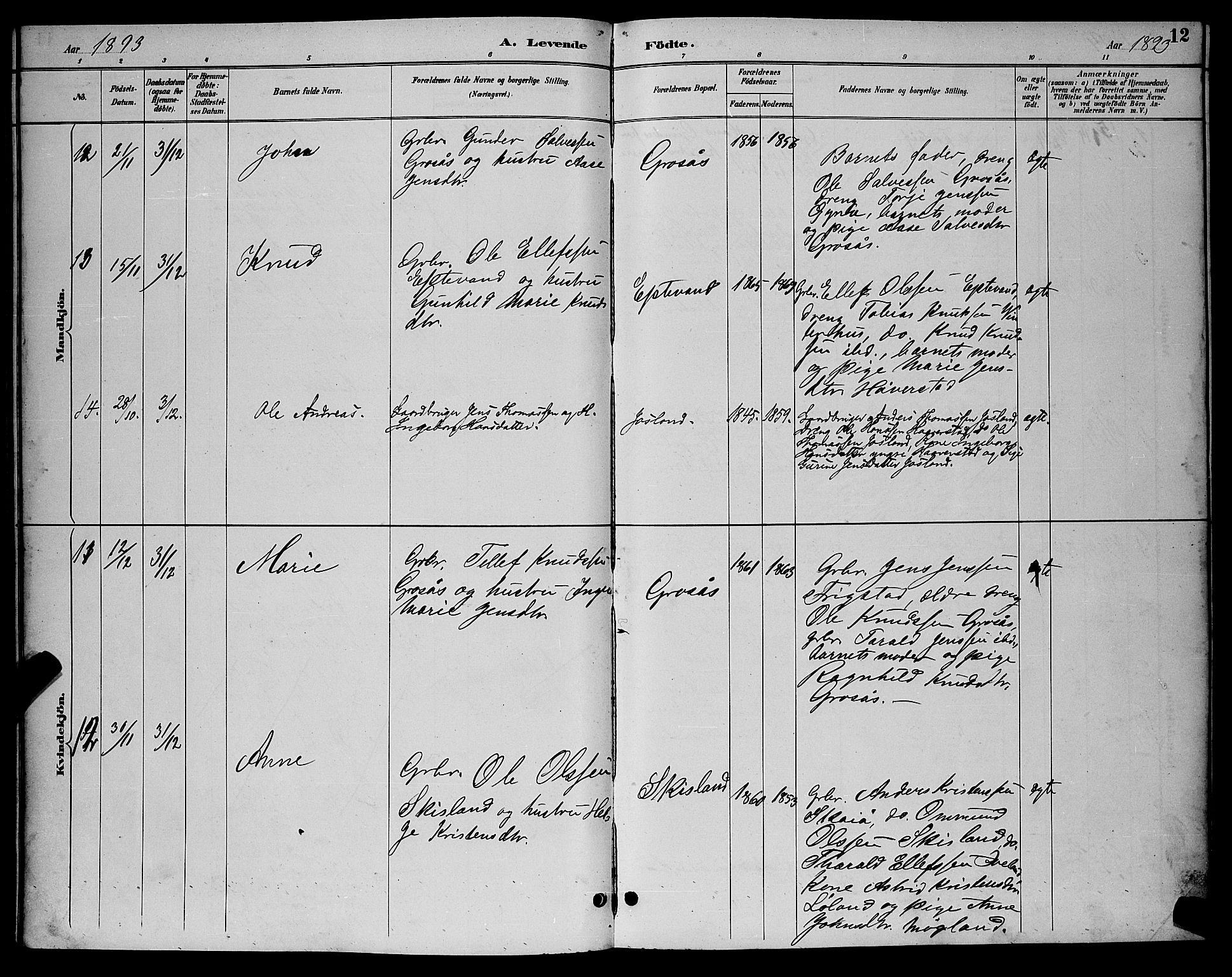 Evje sokneprestkontor, AV/SAK-1111-0008/F/Fb/Fbc/L0004: Parish register (copy) no. B 4, 1890-1900, p. 12