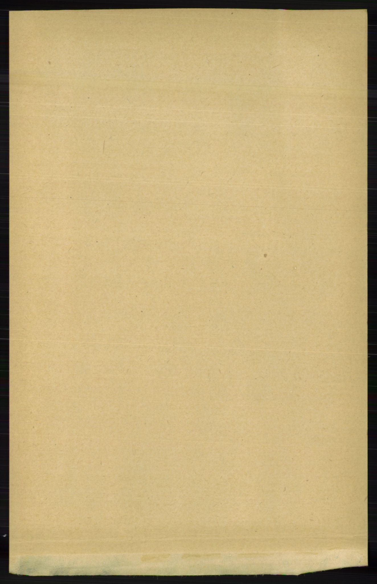 RA, 1891 census for 1029 Sør-Audnedal, 1891, p. 3110