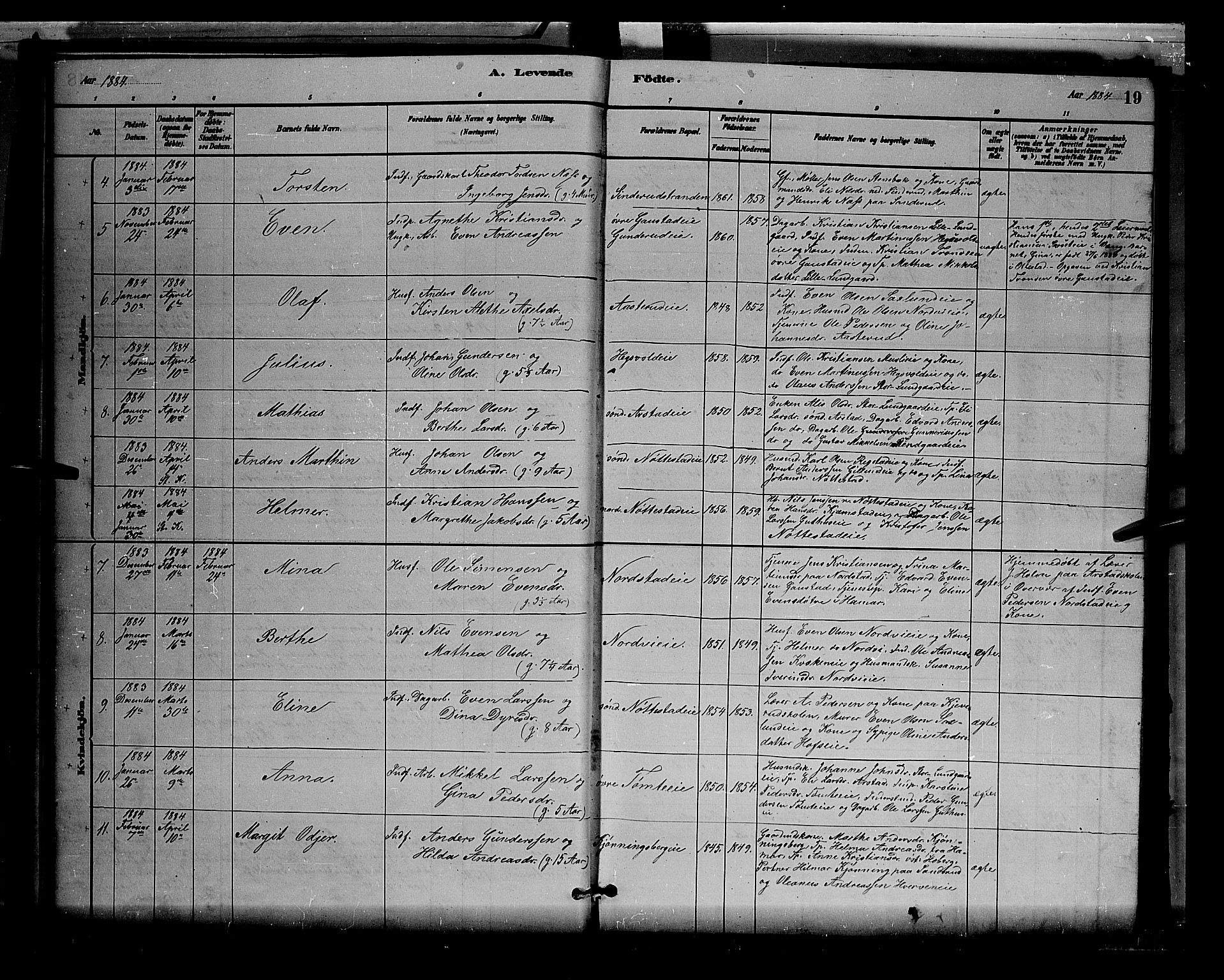 Stange prestekontor, AV/SAH-PREST-002/L/L0007: Parish register (copy) no. 7, 1880-1893, p. 19