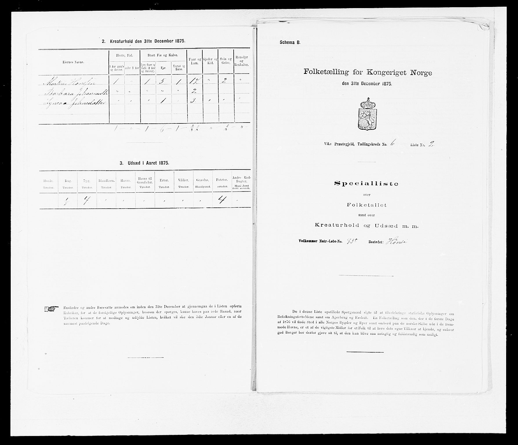 SAB, 1875 census for 1417P Vik, 1875, p. 703