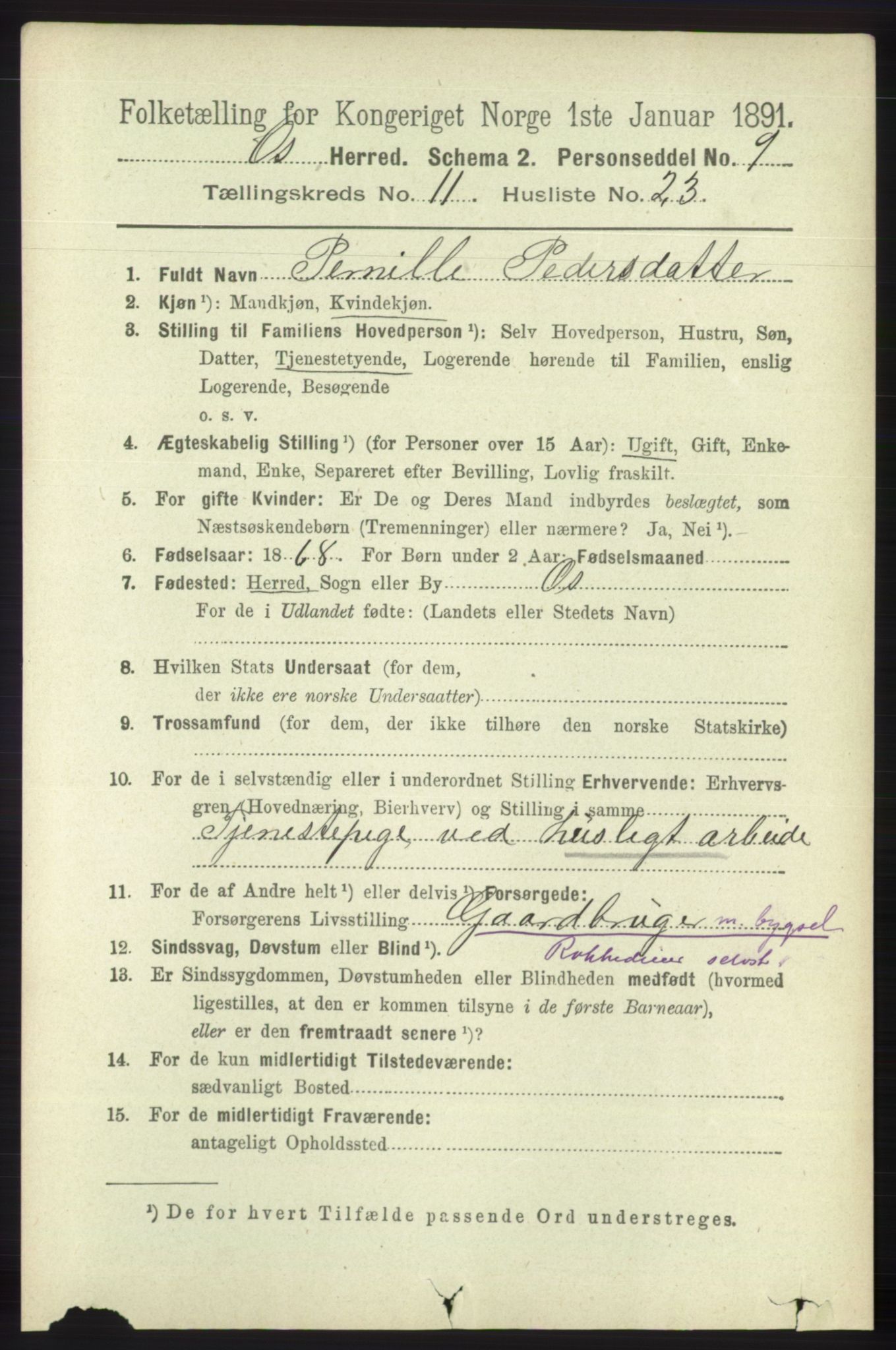 RA, 1891 census for 1243 Os, 1891, p. 2693