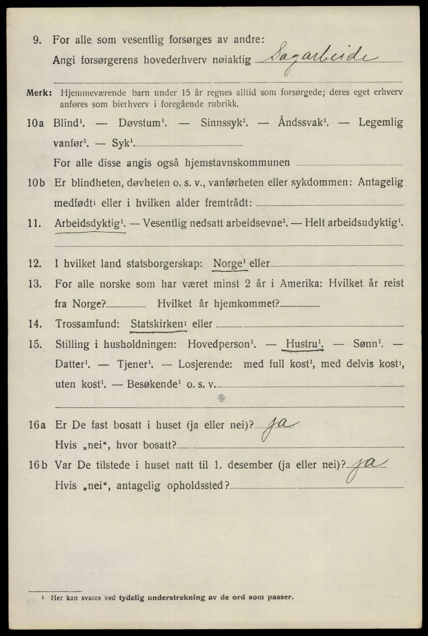 SAO, 1920 census for Nes, 1920, p. 18895