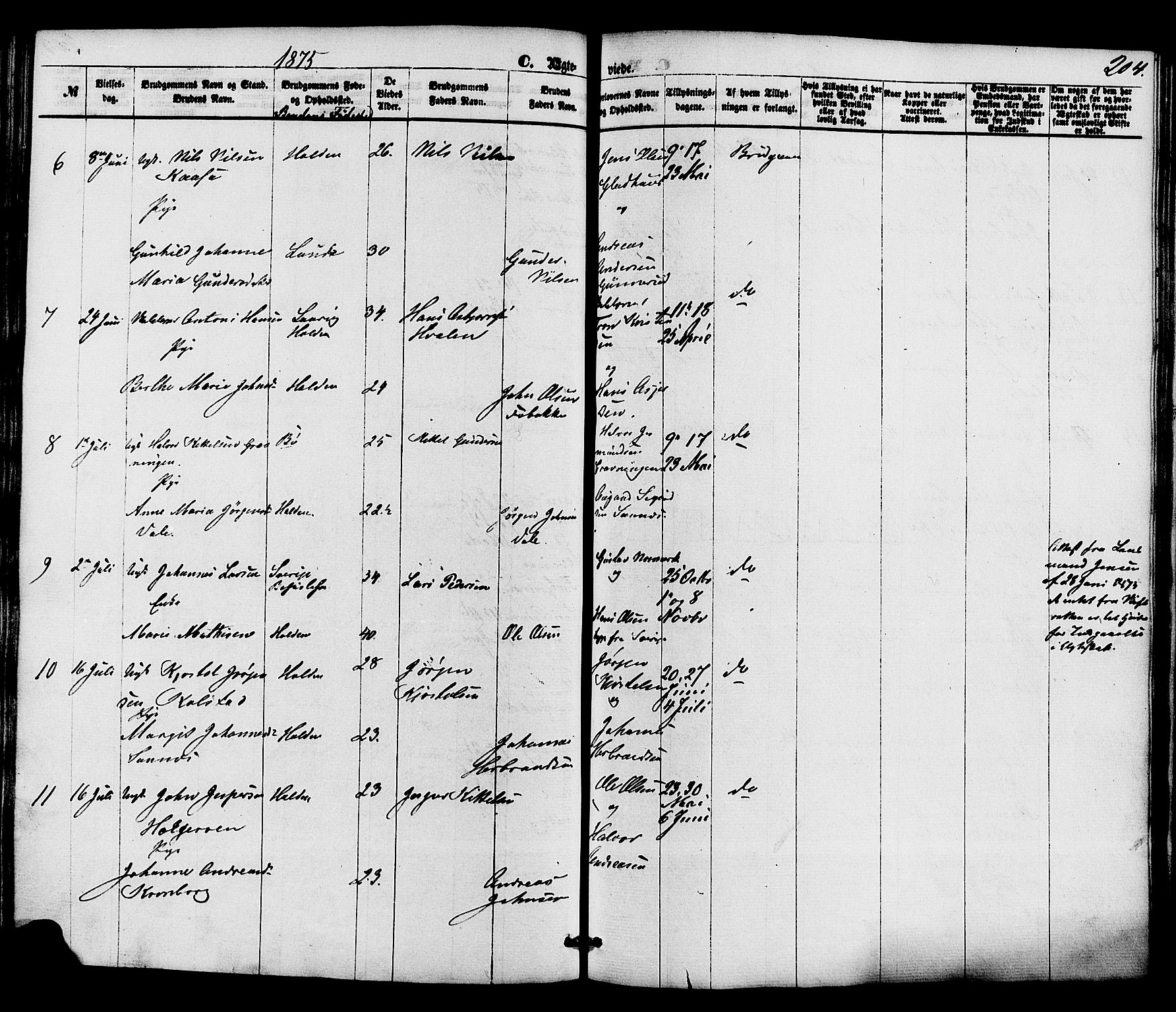 Holla kirkebøker, SAKO/A-272/F/Fa/L0007: Parish register (official) no. 7, 1869-1881, p. 204