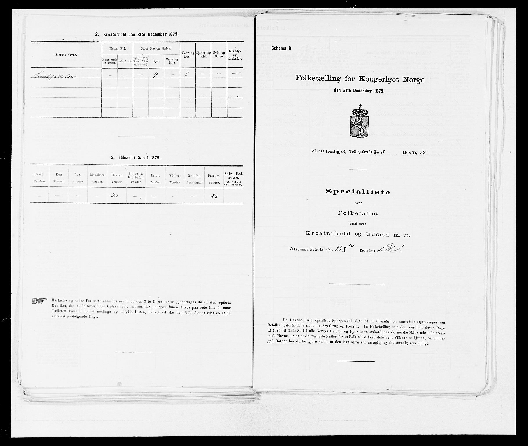 SAB, 1875 census for 1247P Askøy, 1875, p. 293