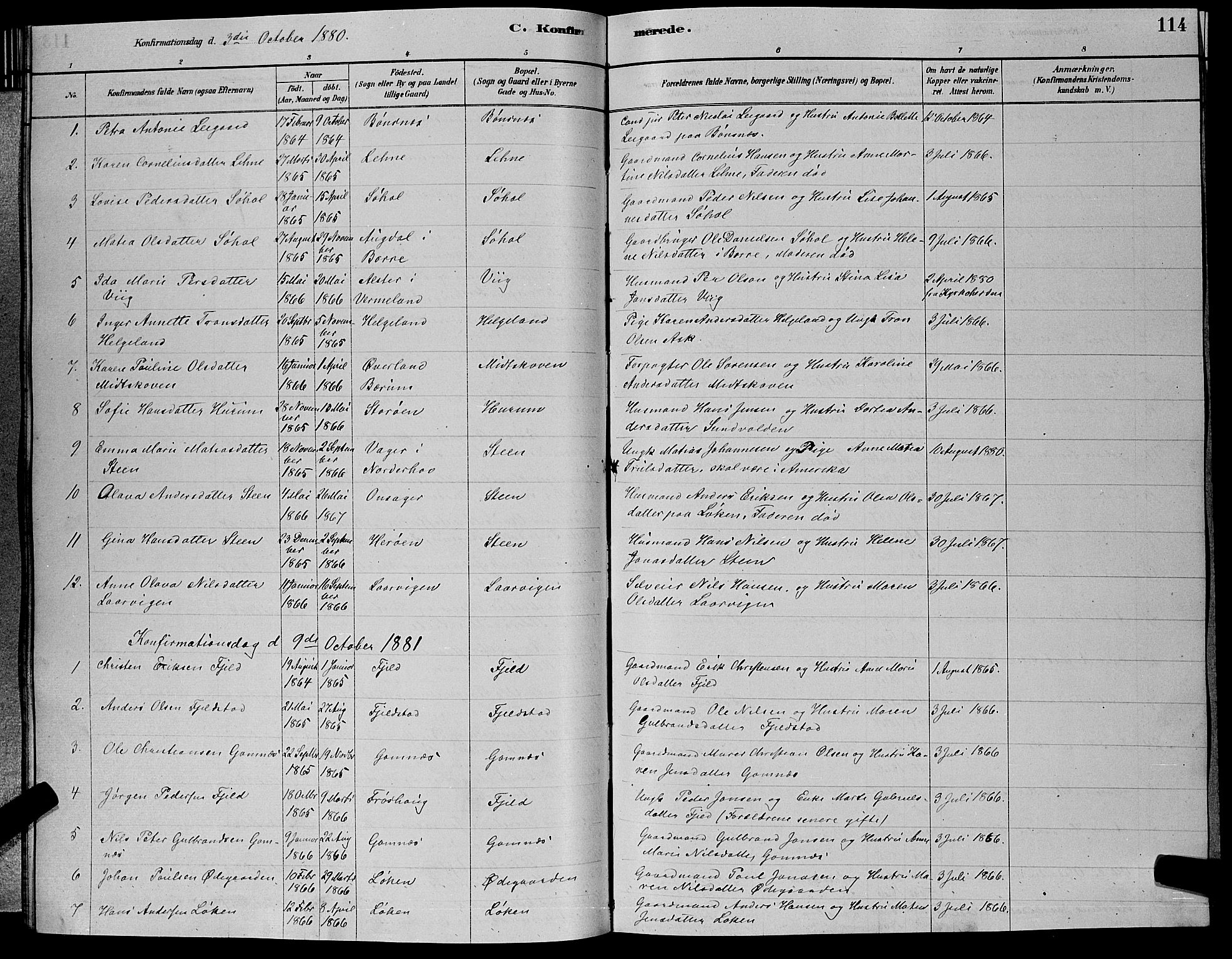 Hole kirkebøker, SAKO/A-228/G/Ga/L0003: Parish register (copy) no. I 3, 1879-1904, p. 114