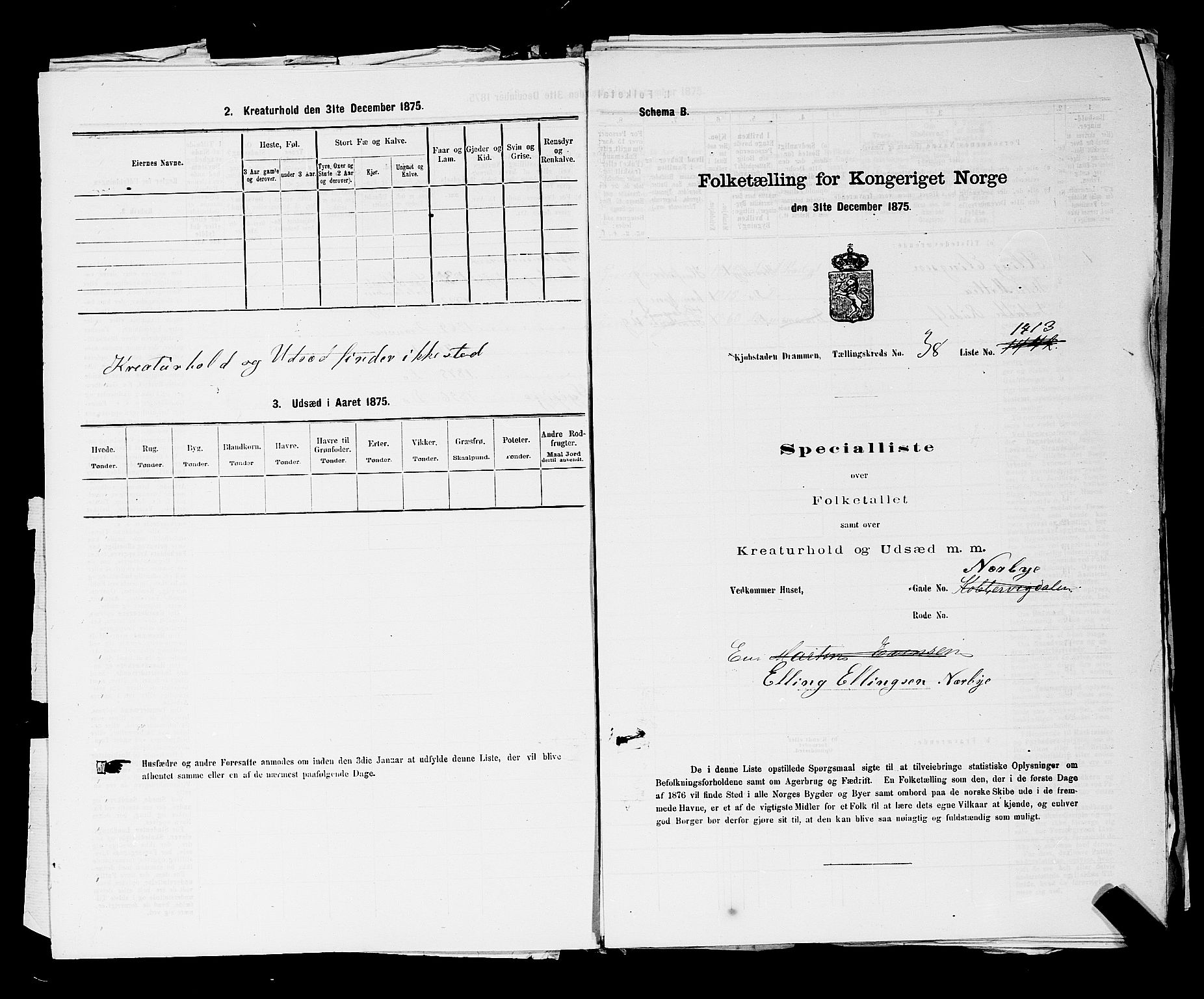 SAKO, 1875 census for 0602 Drammen, 1875, p. 3239