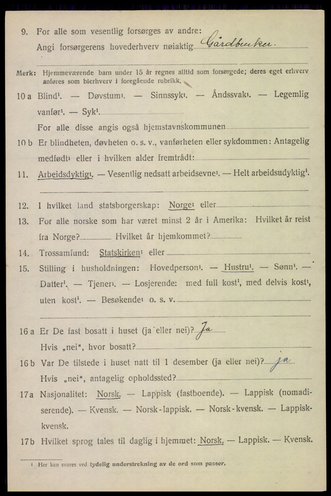 SAT, 1920 census for Bø, 1920, p. 9555