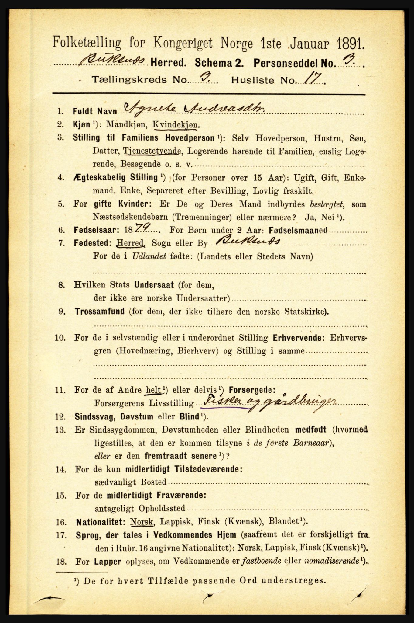 RA, 1891 census for 1860 Buksnes, 1891, p. 2300