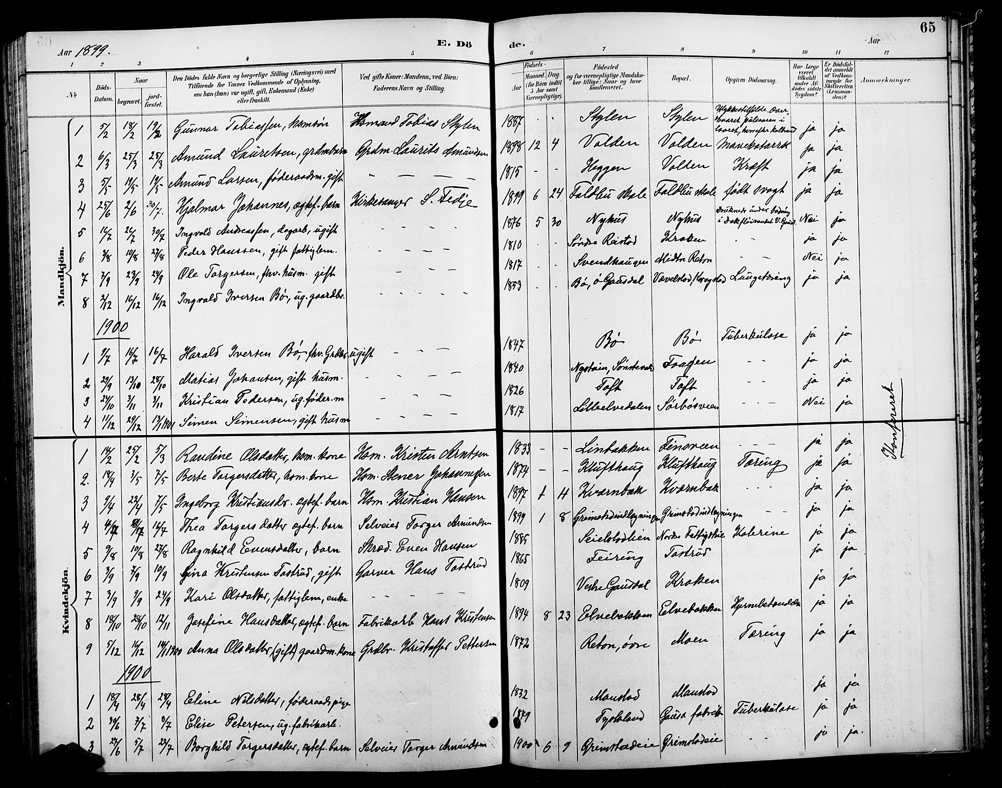 Østre Gausdal prestekontor, AV/SAH-PREST-092/H/Ha/Hab/L0003: Parish register (copy) no. 3, 1894-1915, p. 65