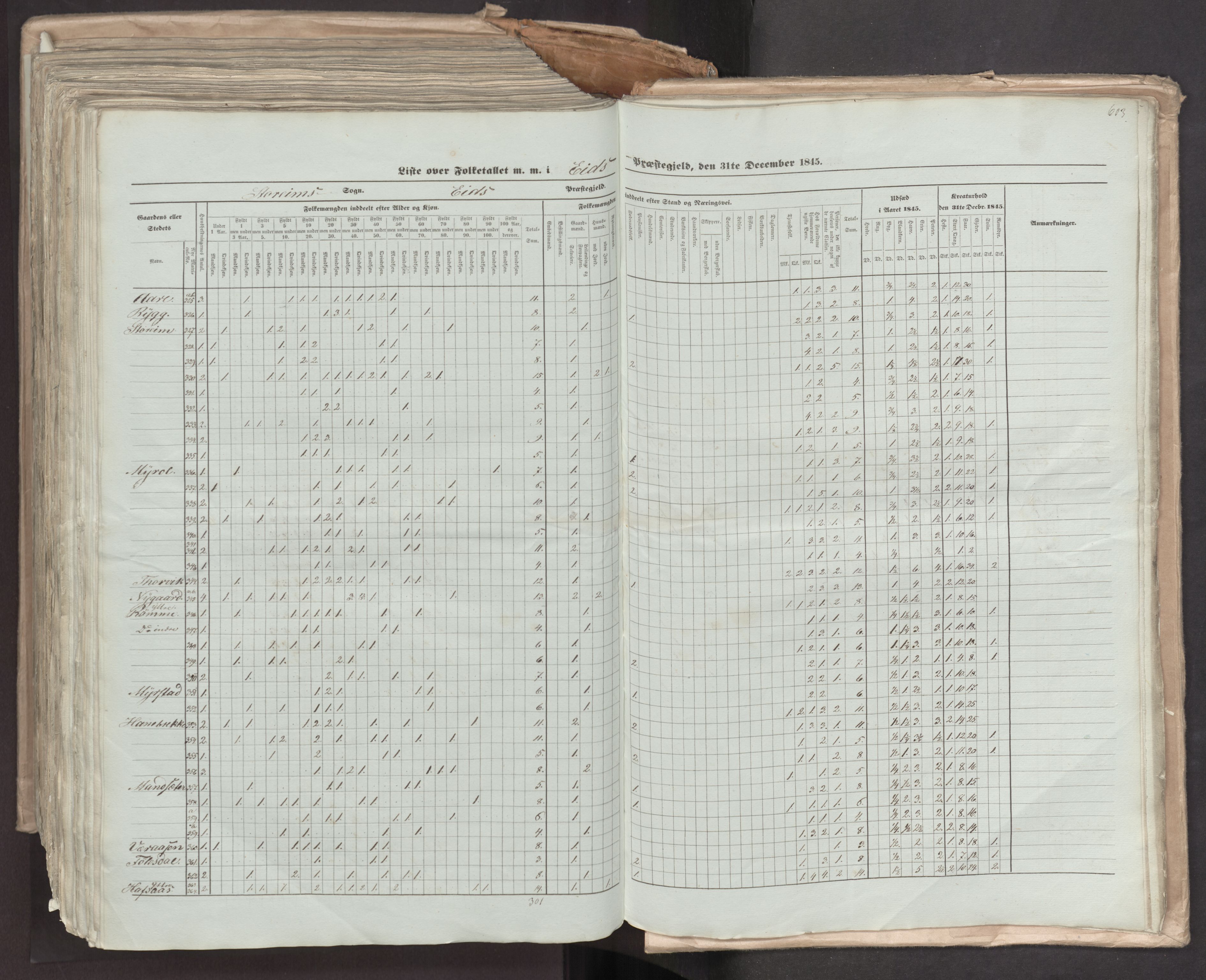 RA, Census 1845, vol. 7: Søndre Bergenhus amt og Nordre Bergenhus amt, 1845, p. 603