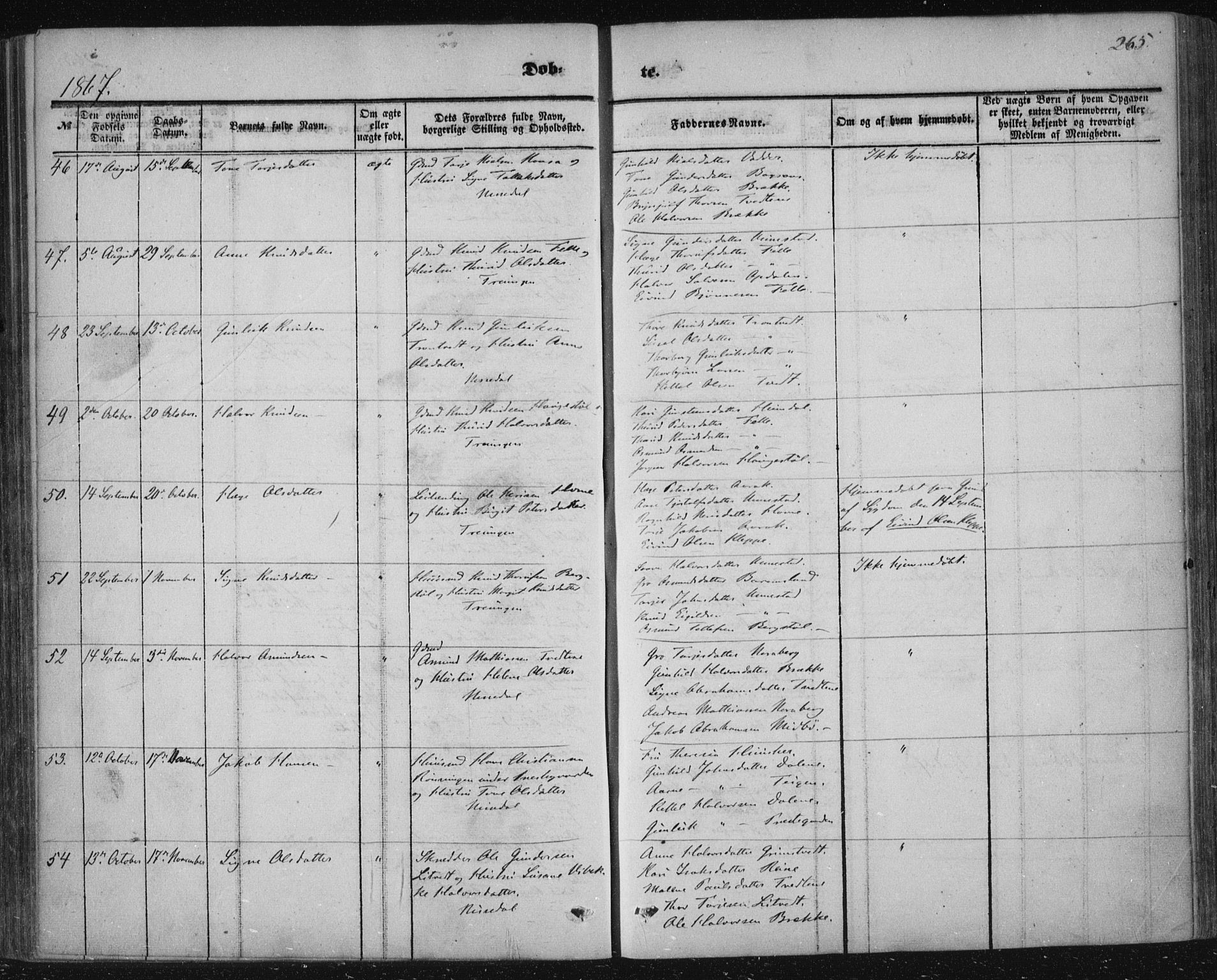 Nissedal kirkebøker, SAKO/A-288/F/Fa/L0003: Parish register (official) no. I 3, 1846-1870, p. 264-265