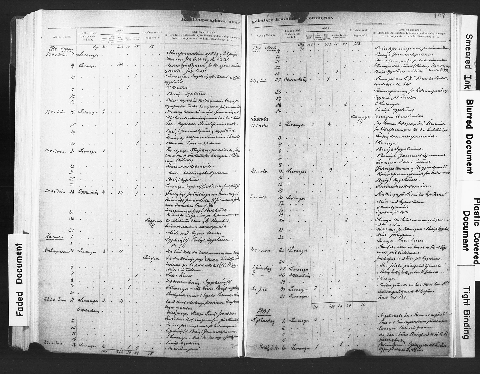 Ministerialprotokoller, klokkerbøker og fødselsregistre - Nord-Trøndelag, SAT/A-1458/720/L0189: Parish register (official) no. 720A05, 1880-1911, p. 197