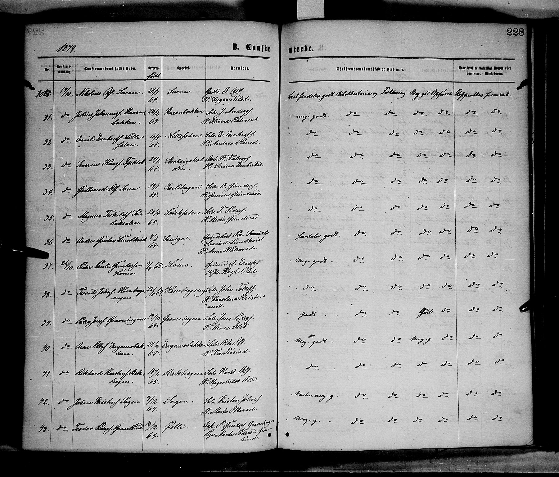 Elverum prestekontor, AV/SAH-PREST-044/H/Ha/Haa/L0011: Parish register (official) no. 11, 1869-1879, p. 228