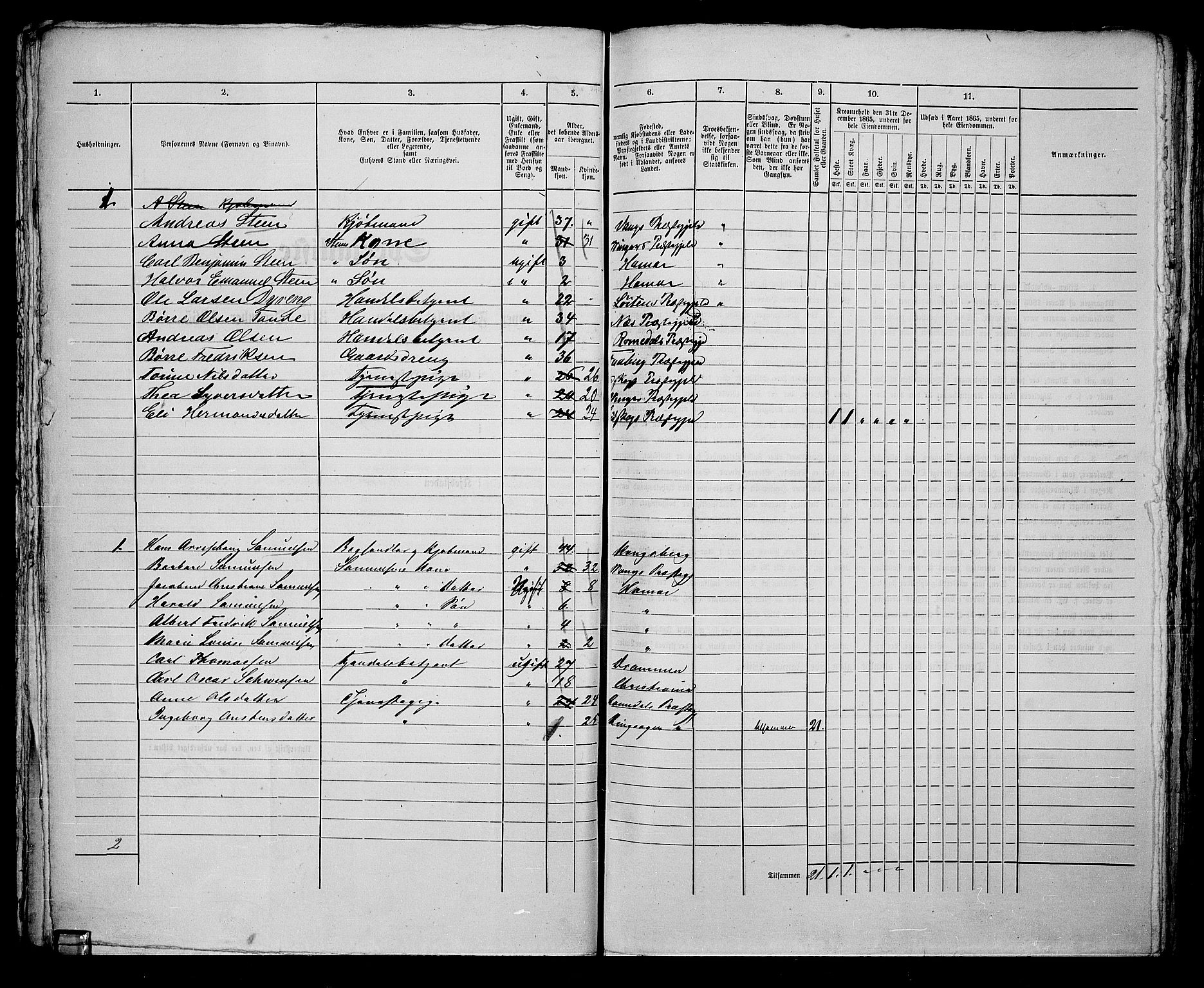 RA, 1865 census for Vang/Hamar, 1865, p. 95