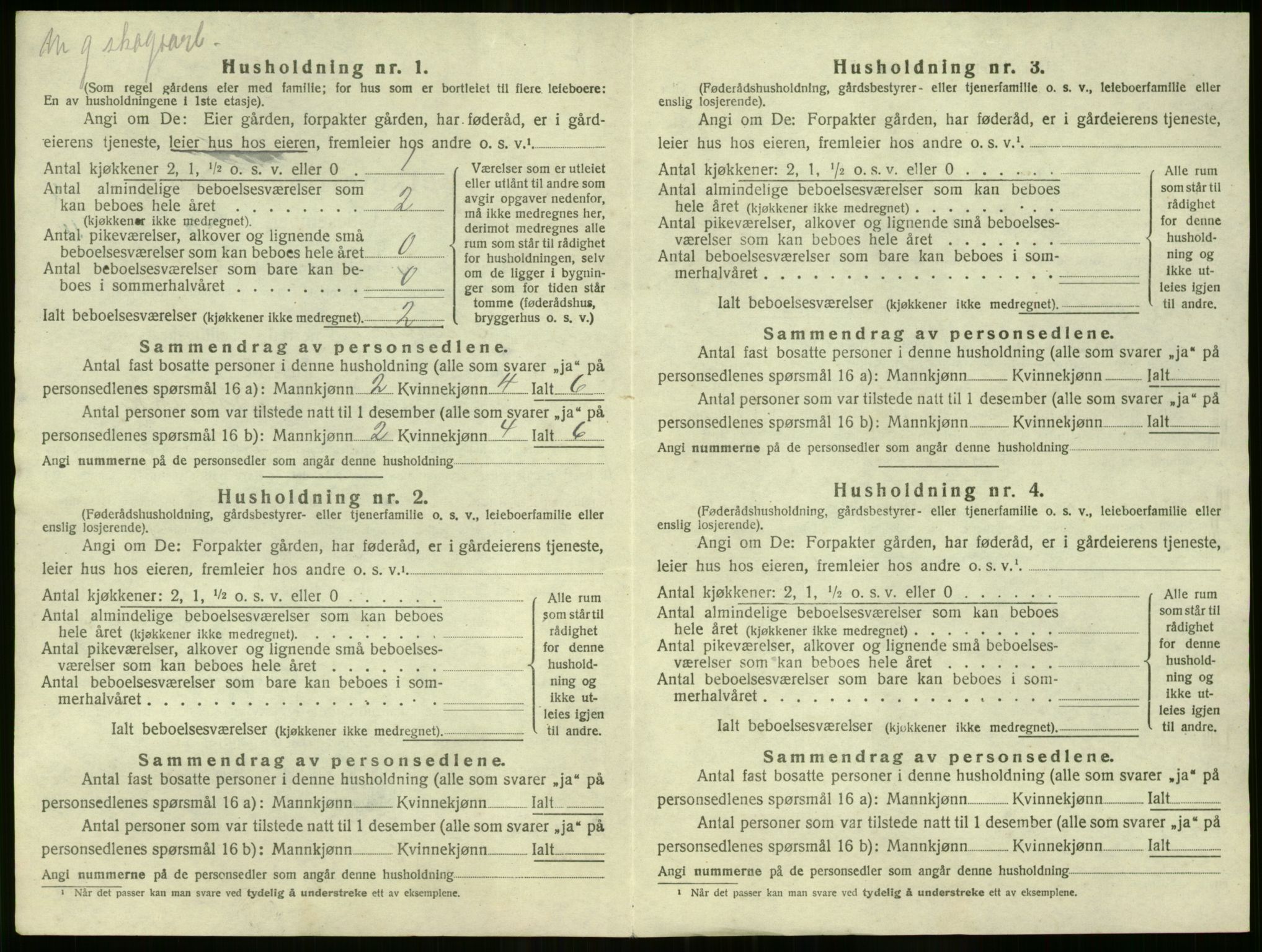 SAO, 1920 census for Nes, 1920, p. 3385