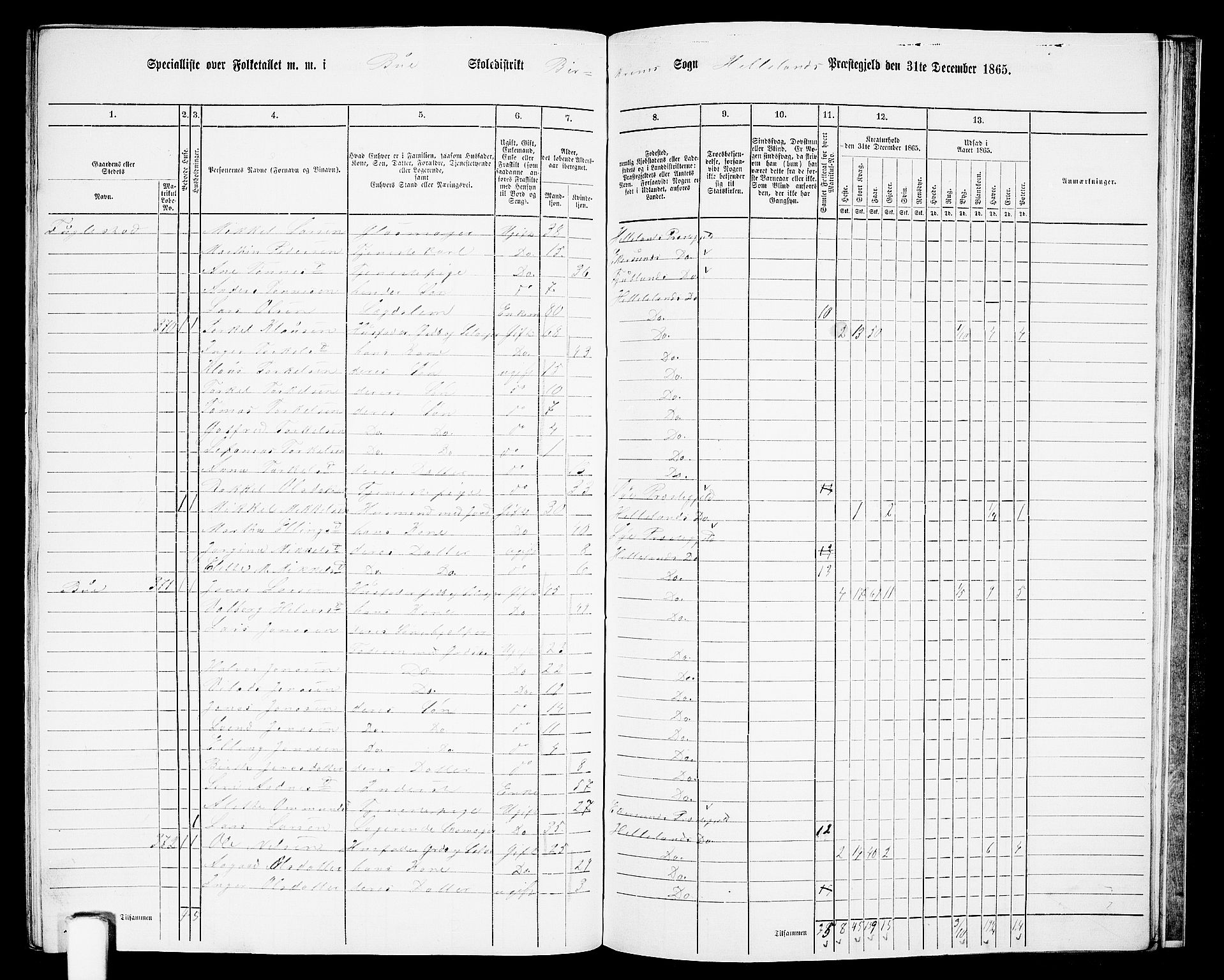 RA, 1865 census for Helleland, 1865, p. 126