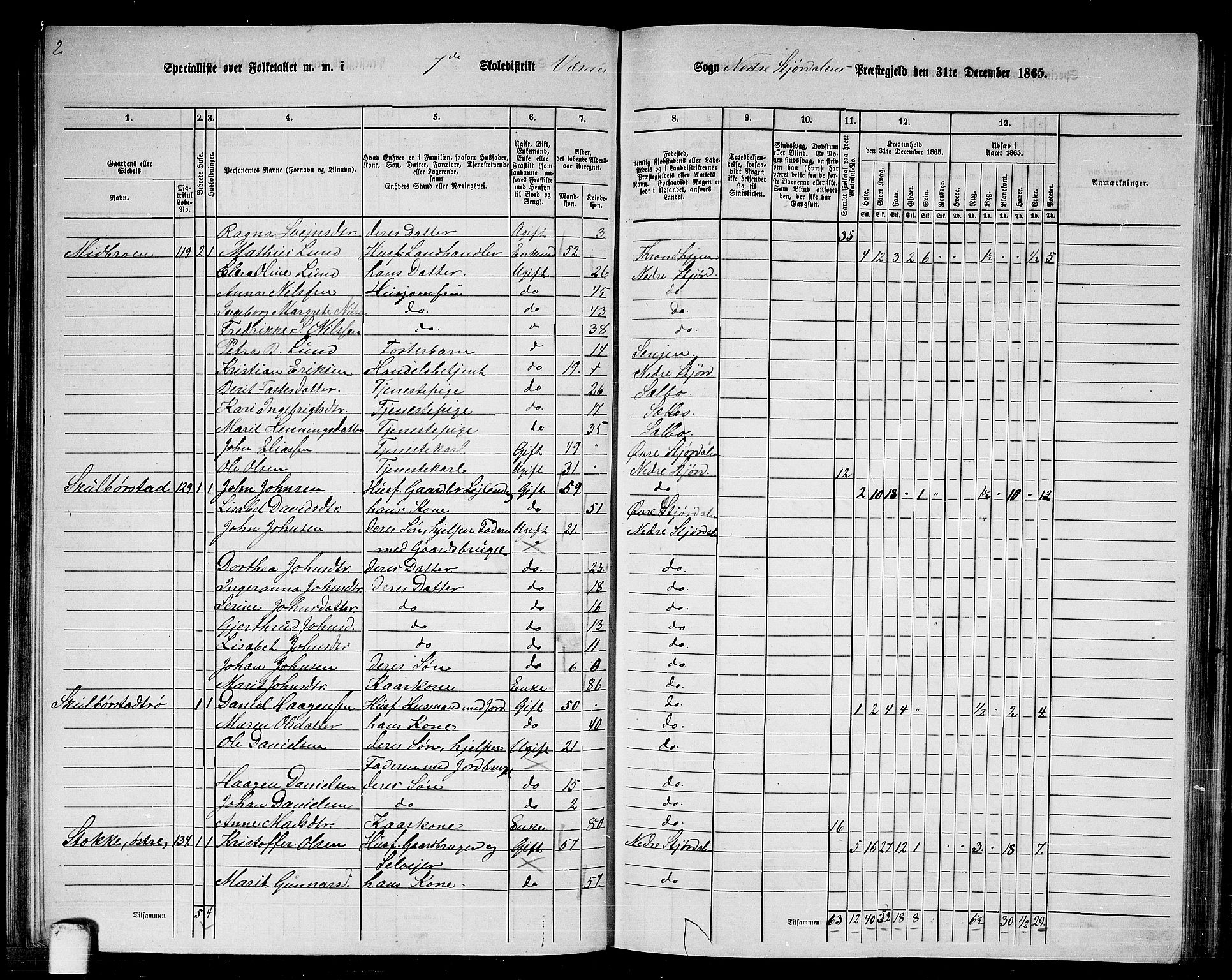 RA, 1865 census for Nedre Stjørdal, 1865, p. 128