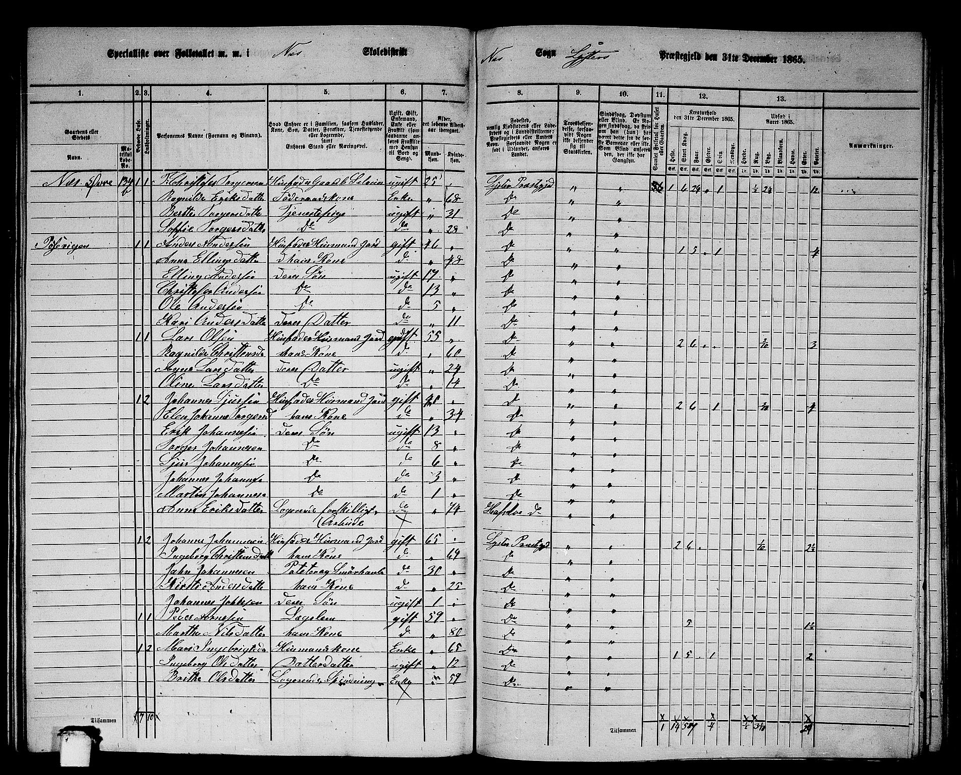 RA, 1865 census for Luster, 1865, p. 124