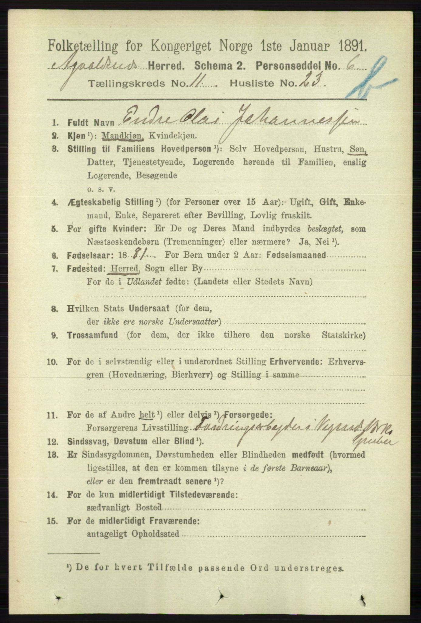 RA, 1891 census for 1147 Avaldsnes, 1891, p. 6550