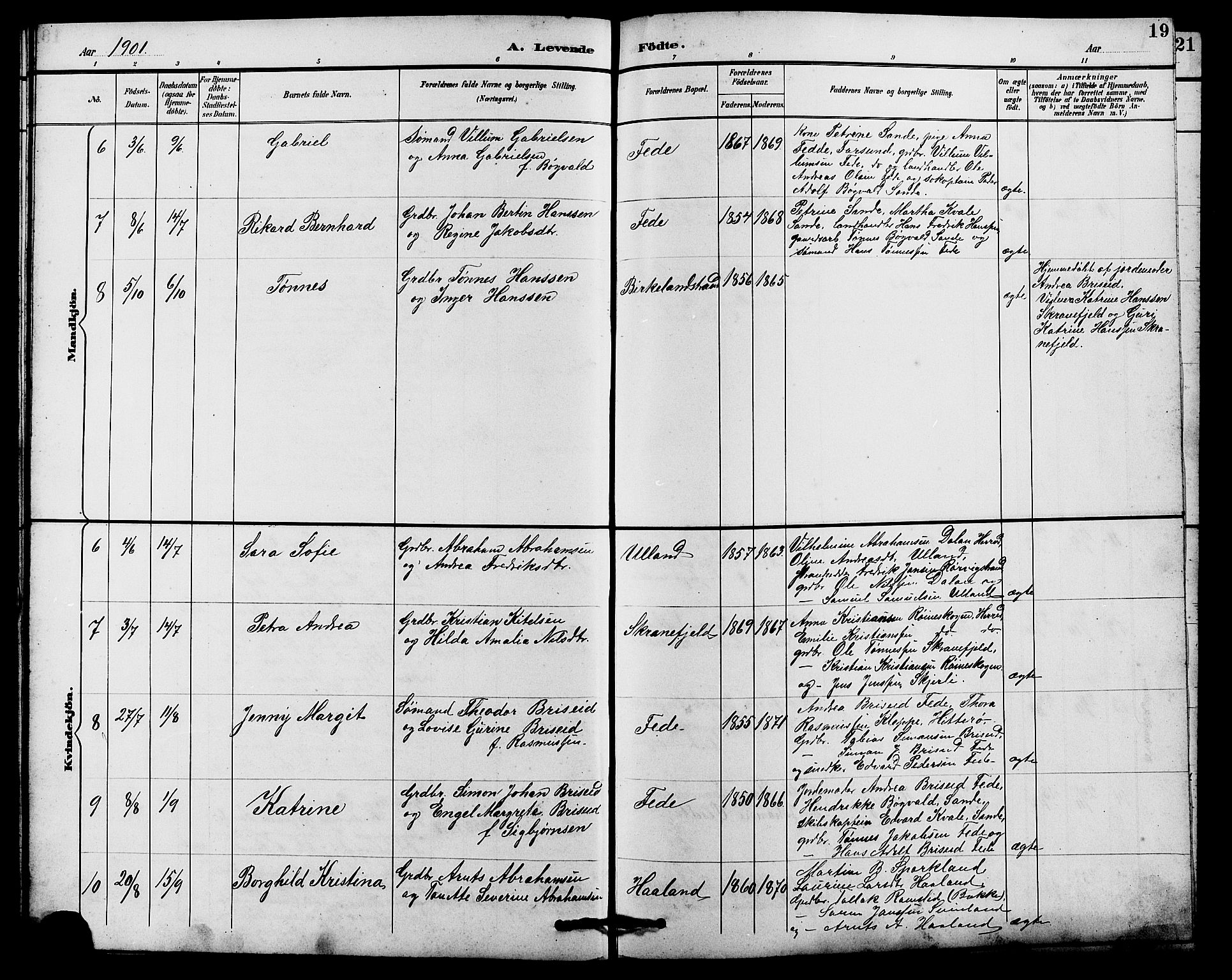 Kvinesdal sokneprestkontor, SAK/1111-0026/F/Fb/Fba/L0004: Parish register (copy) no. B 4, 1894-1909, p. 19