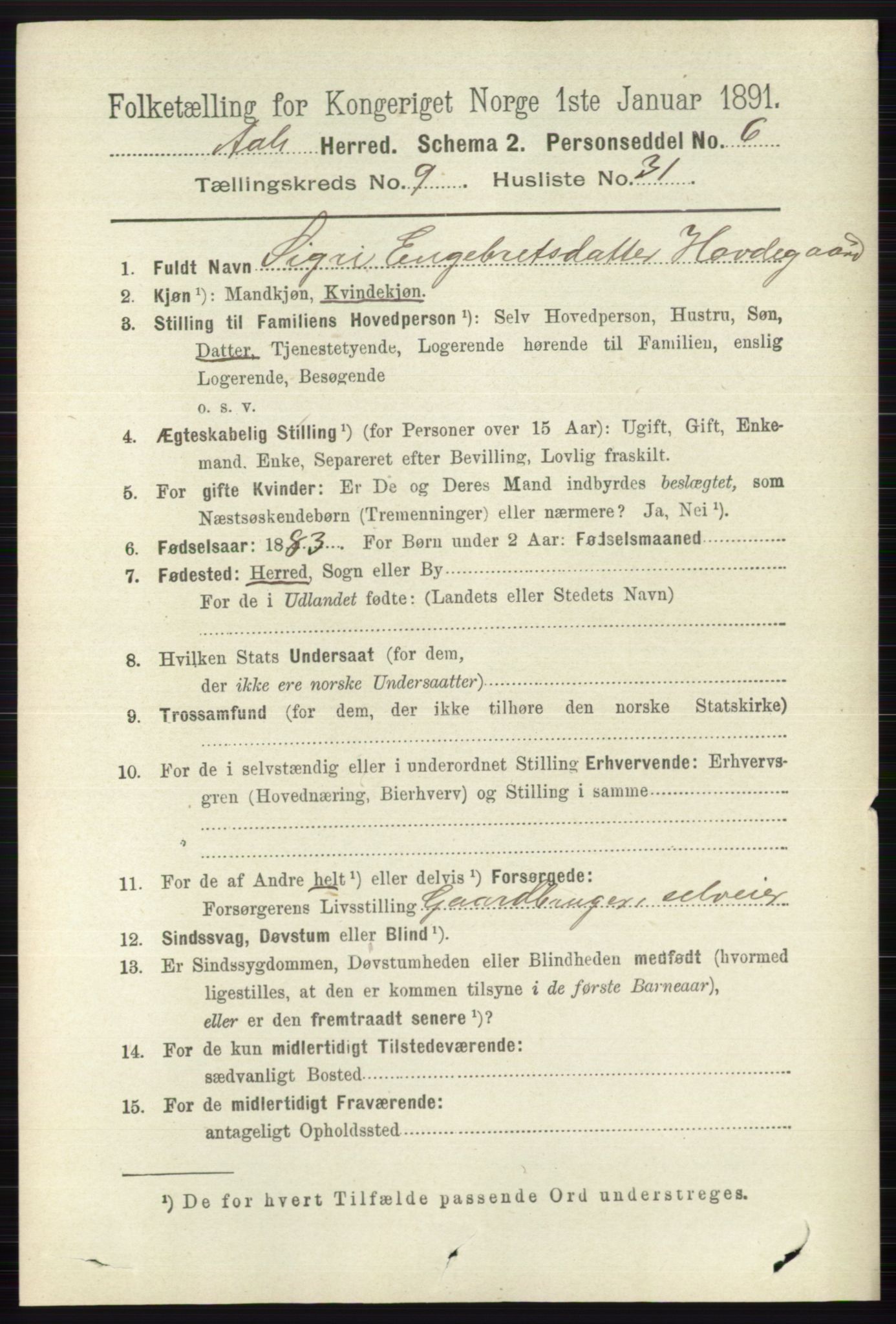 RA, 1891 census for 0619 Ål, 1891, p. 2656