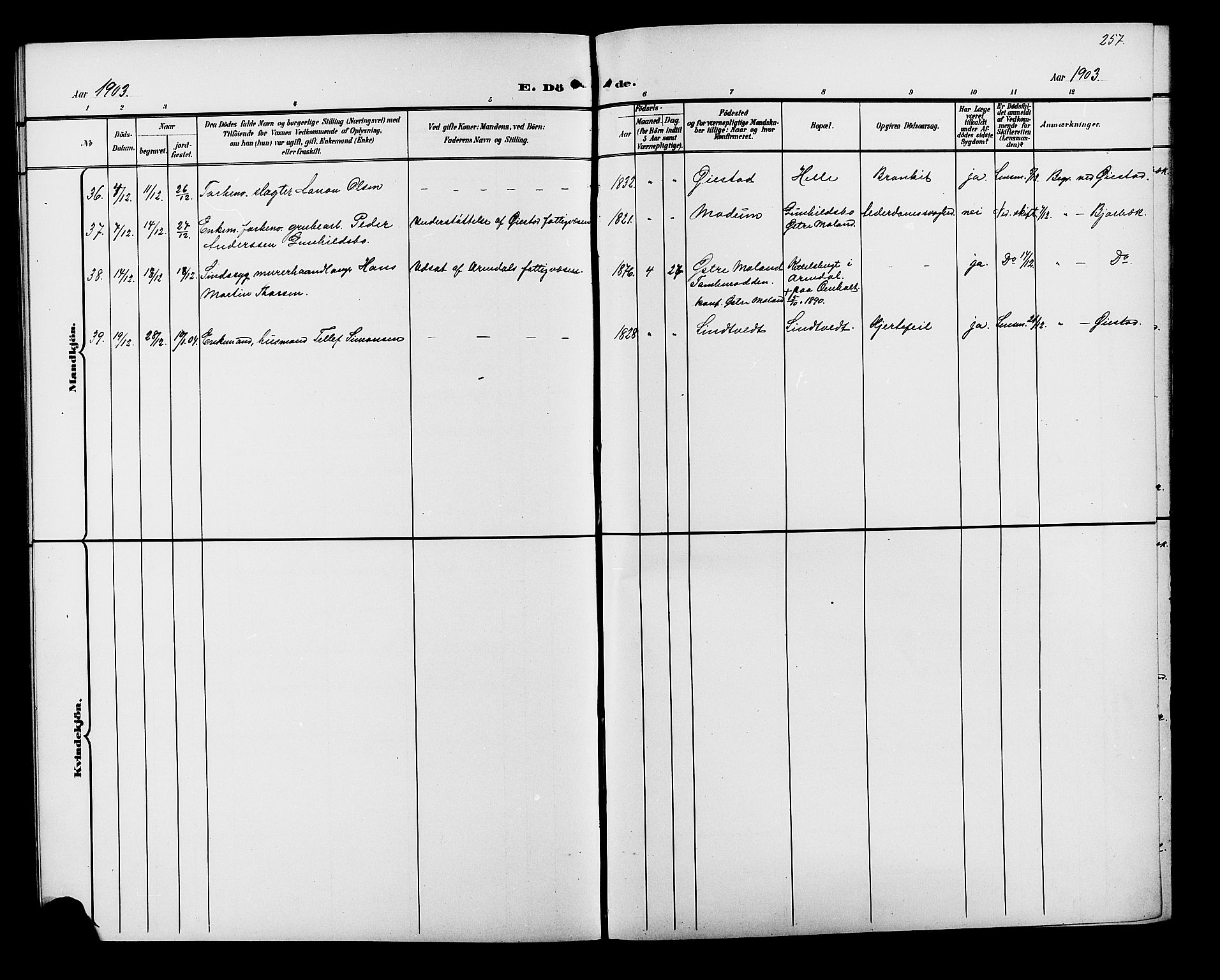 Øyestad sokneprestkontor, SAK/1111-0049/F/Fb/L0010: Parish register (copy) no. B 10, 1897-1906, p. 257