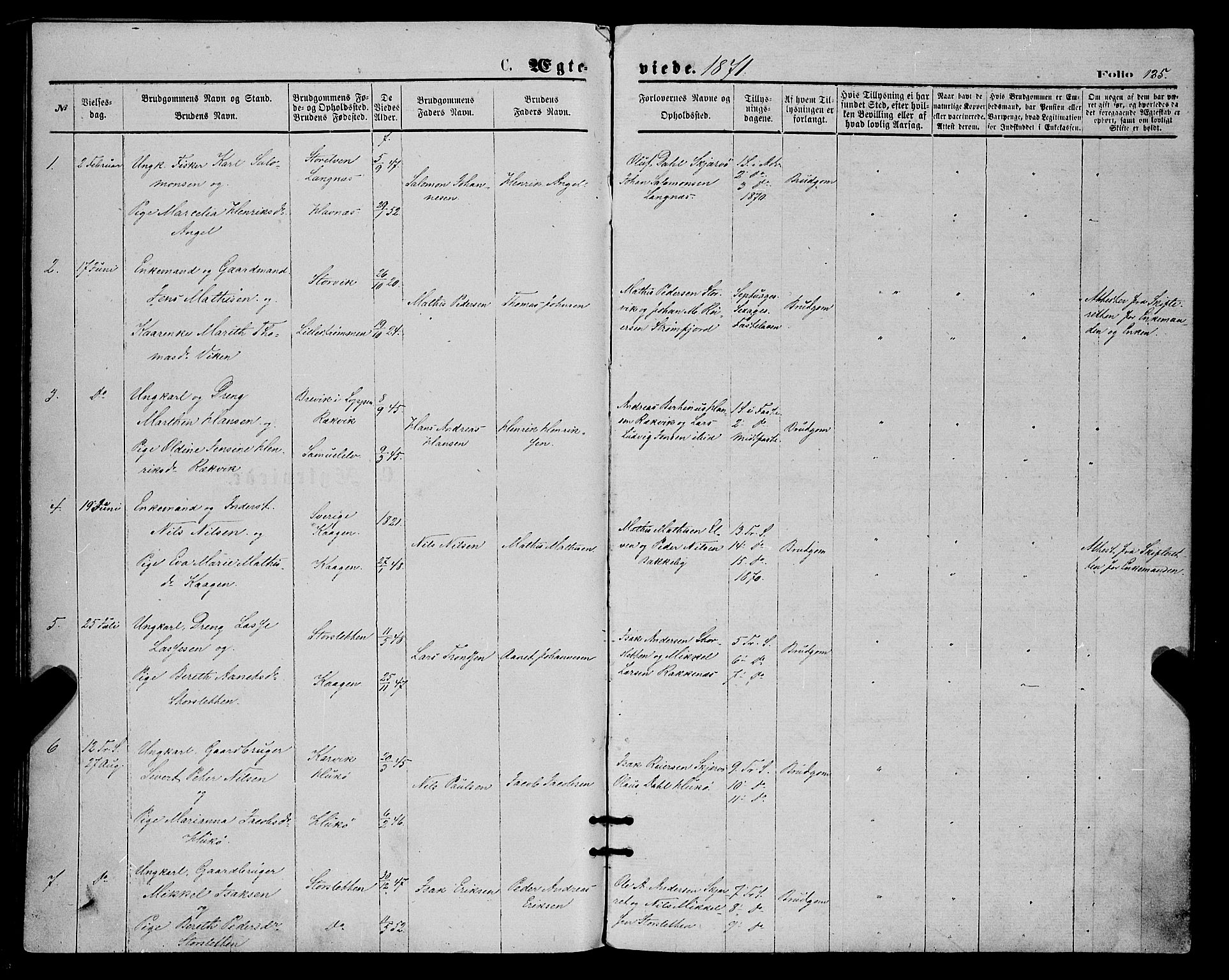 Skjervøy sokneprestkontor, AV/SATØ-S-1300/H/Ha/Haa/L0008kirke: Parish register (official) no. 8, 1871-1877, p. 135