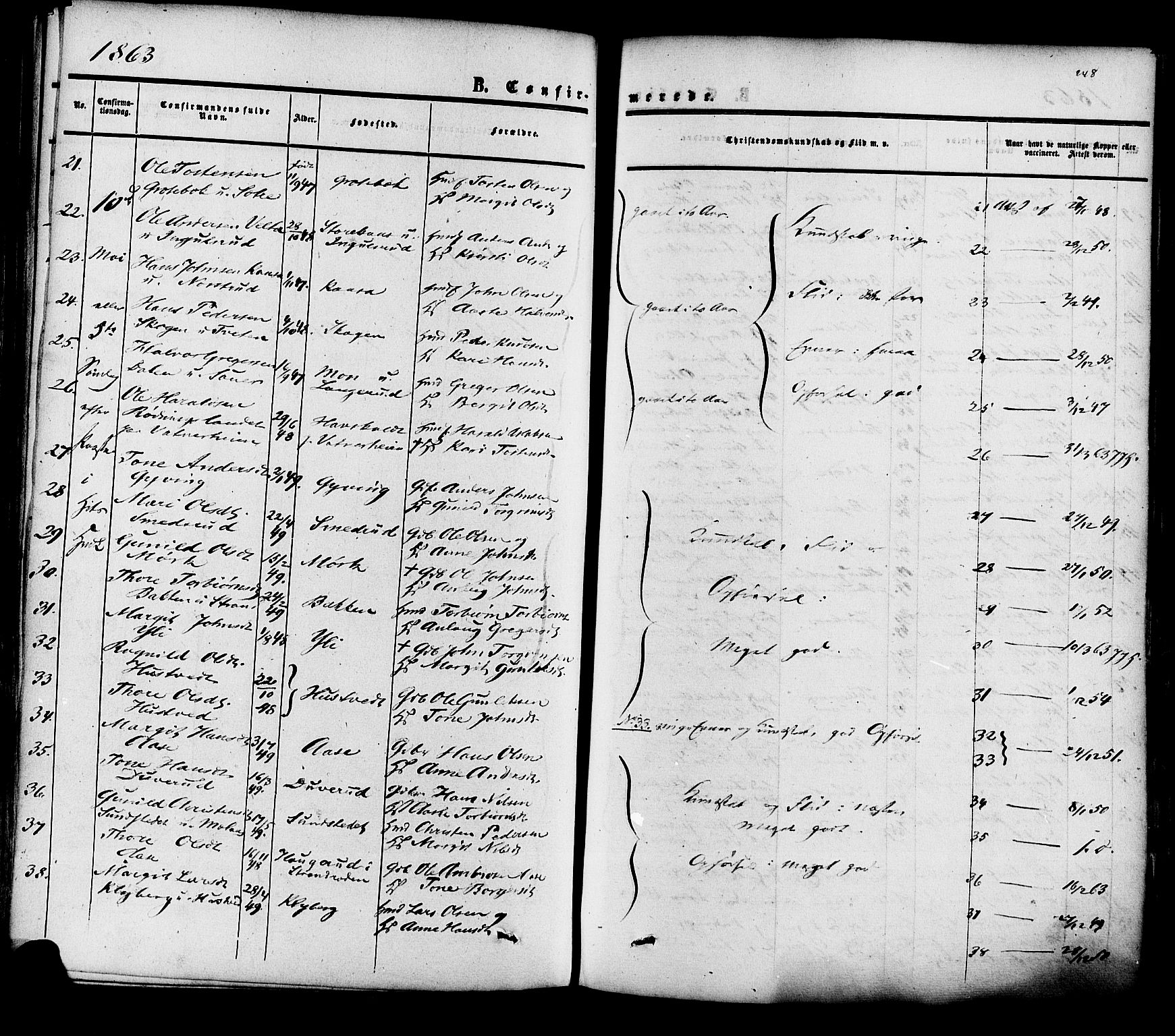 Heddal kirkebøker, SAKO/A-268/F/Fa/L0007: Parish register (official) no. I 7, 1855-1877, p. 248