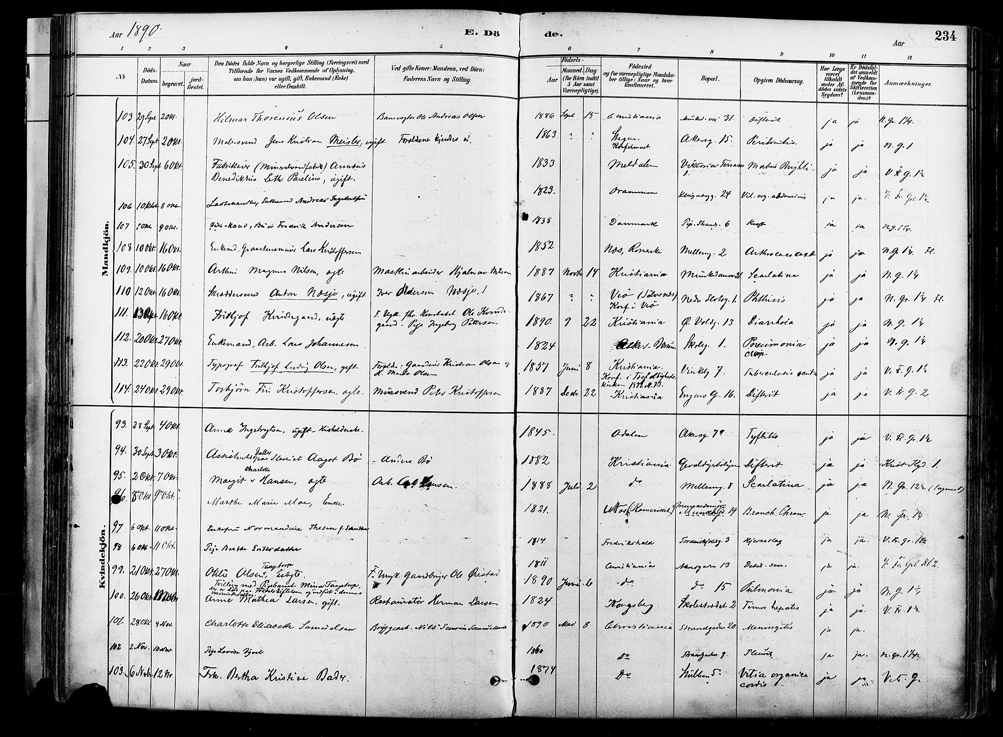 Johannes prestekontor Kirkebøker, AV/SAO-A-10852/F/Fa/L0004: Parish register (official) no. 4, 1883-1907, p. 234